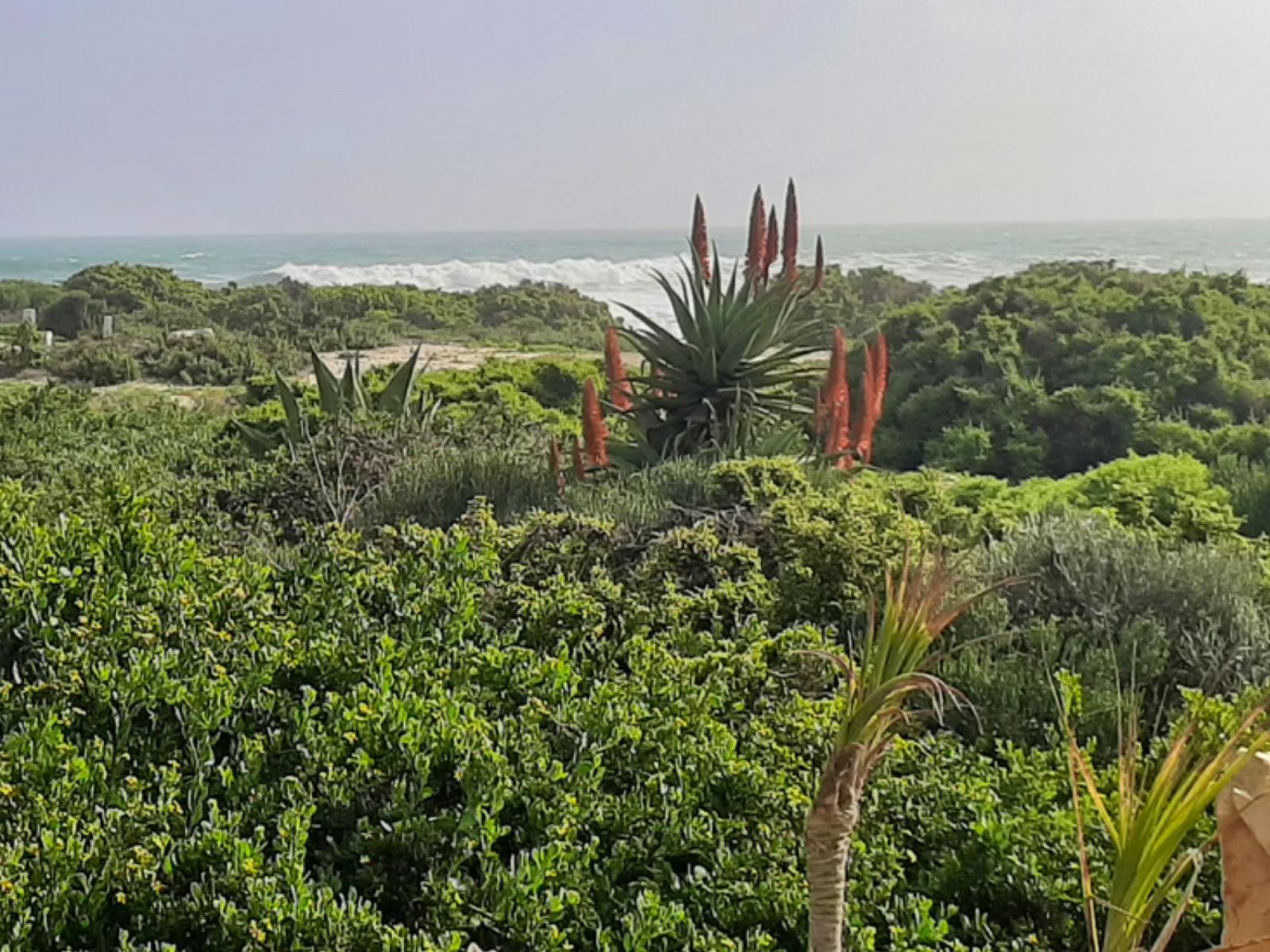 Sea view