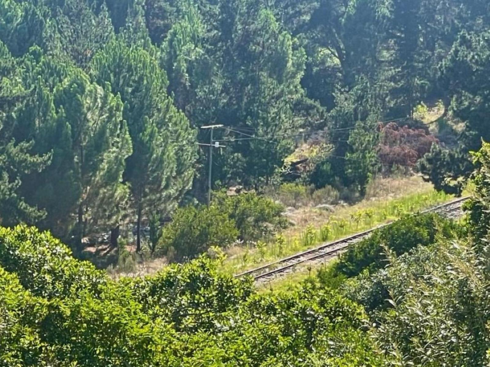Natural landscape