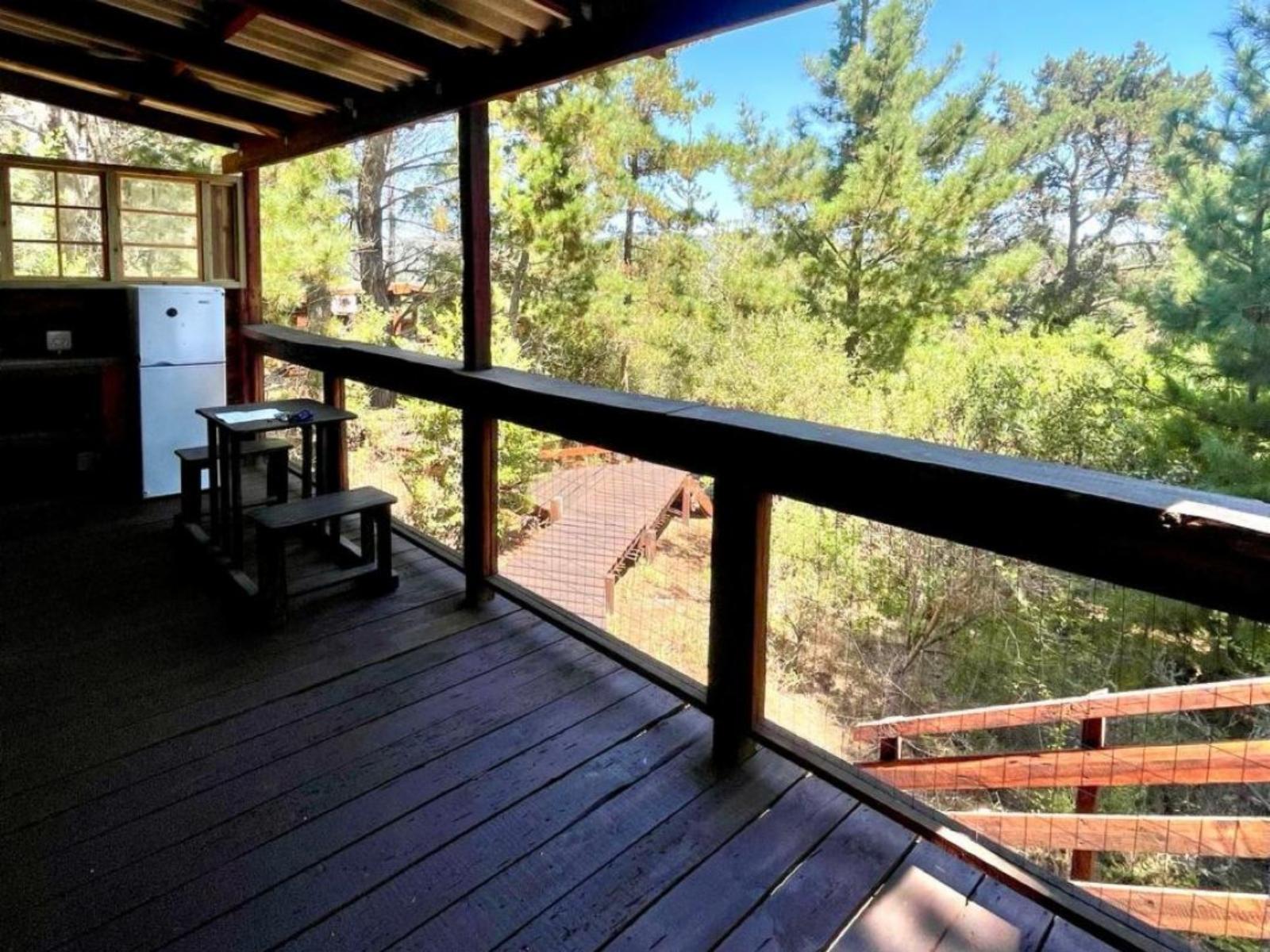 Room 1 — View (from property/room)