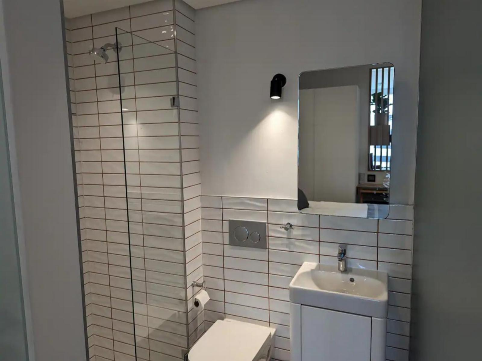 Room 1 — Shower
