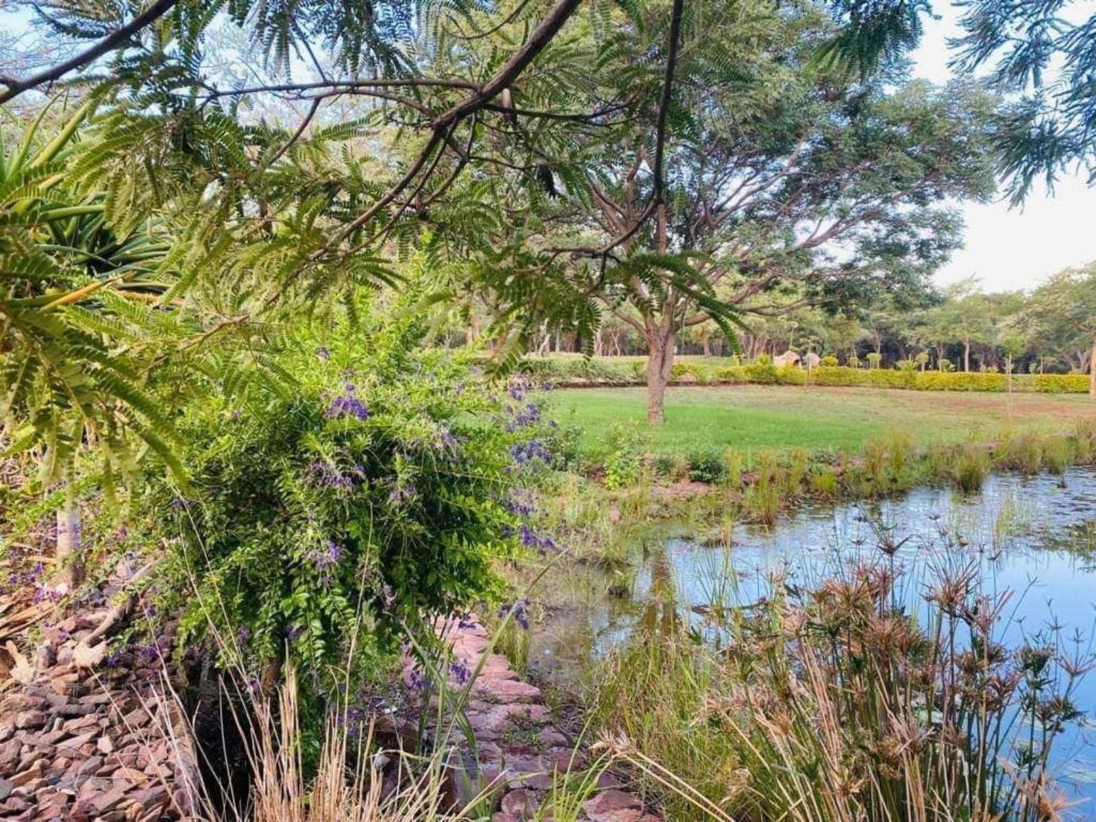 Natural landscape