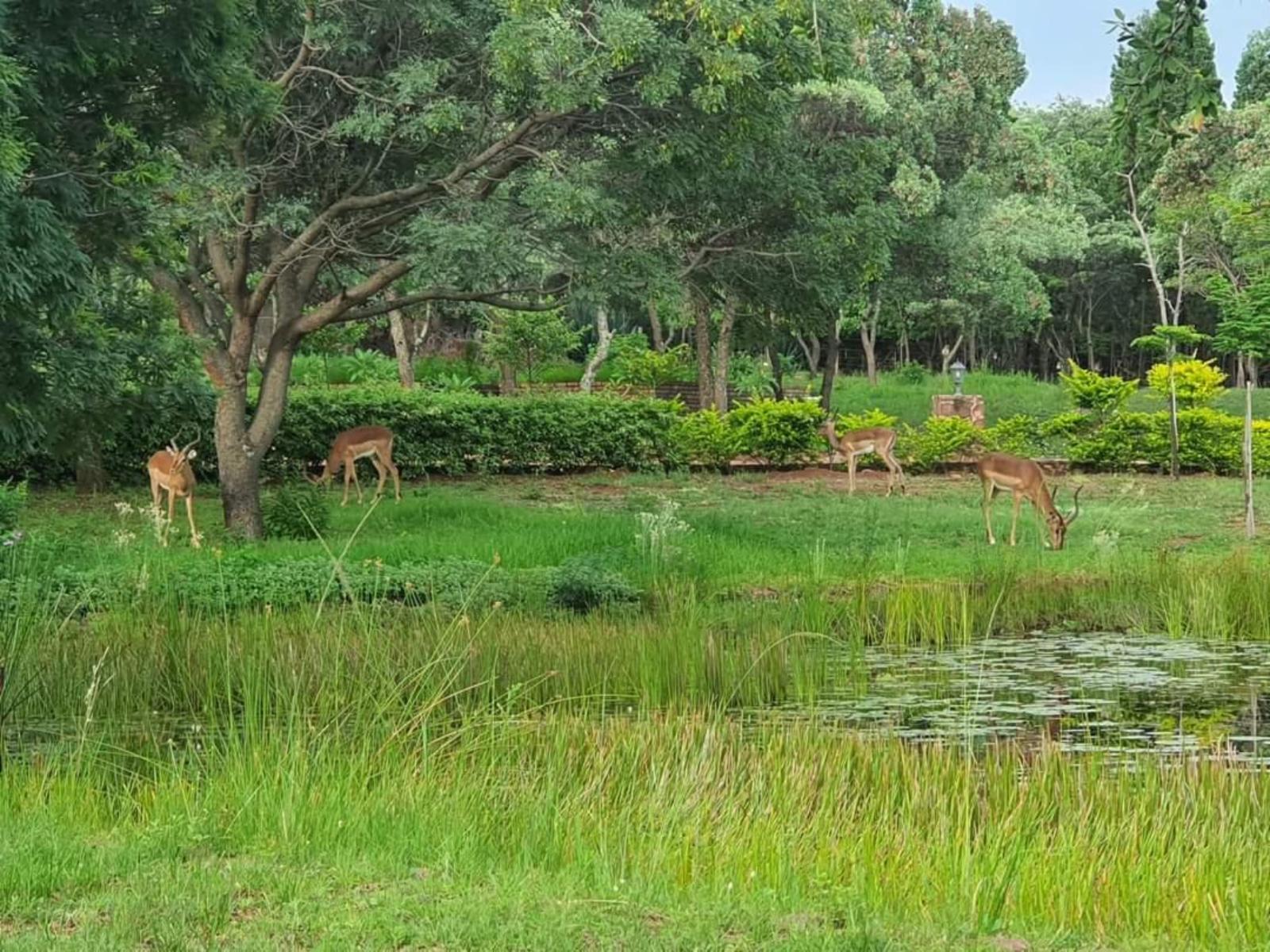 Natural landscape