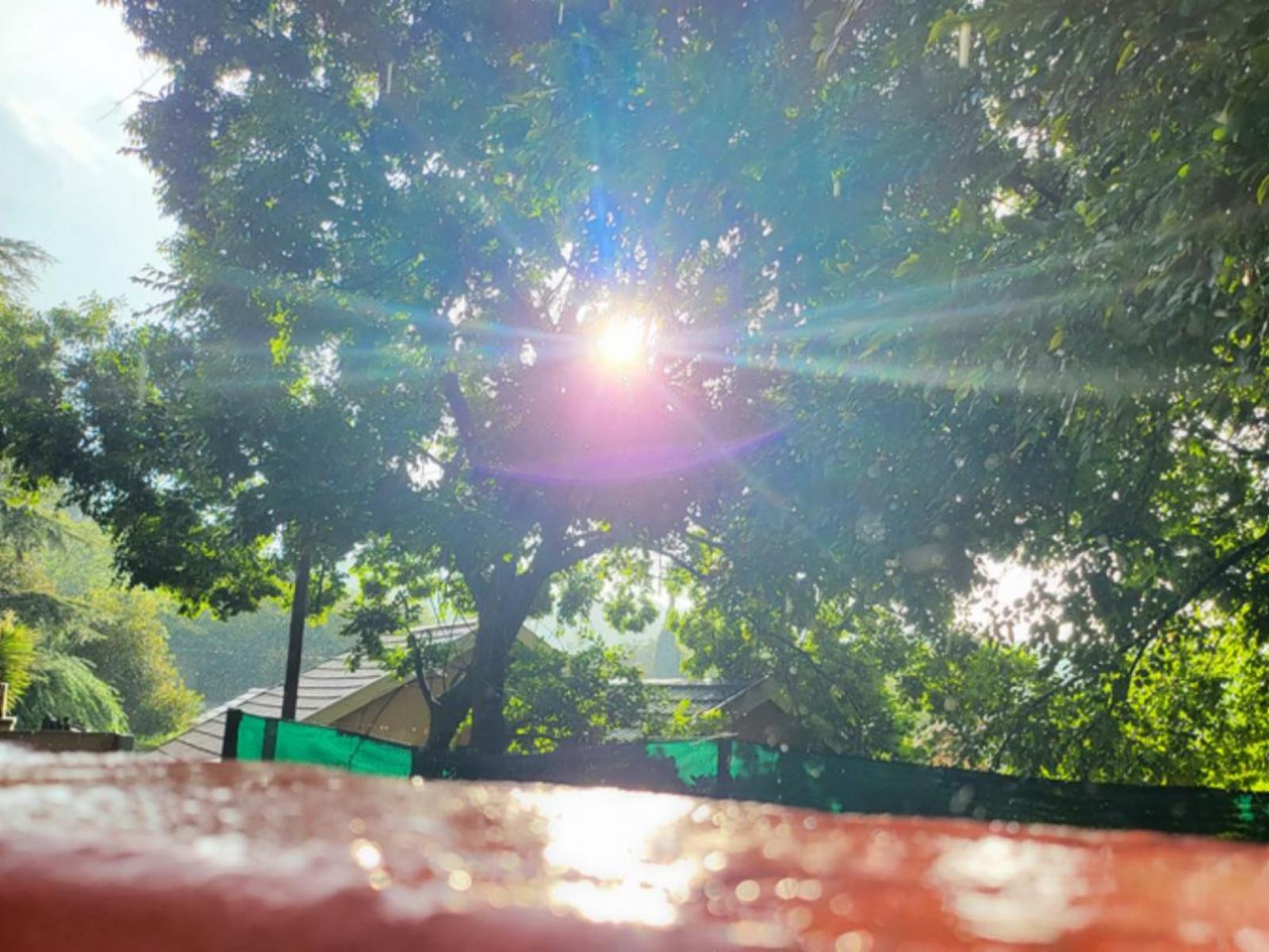 Garden view