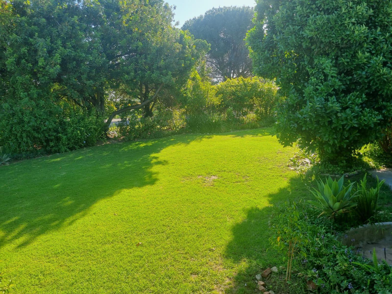 Garden view