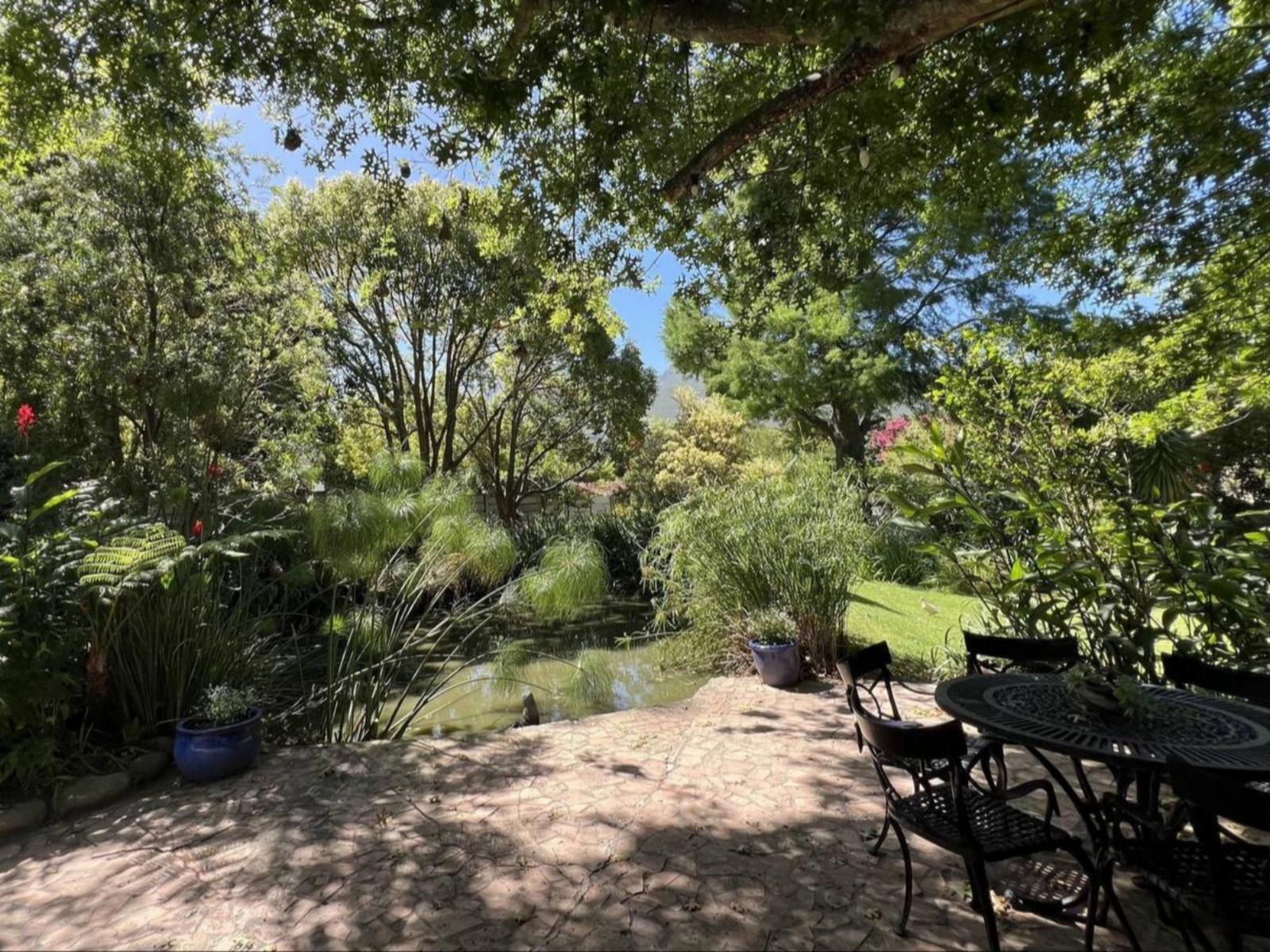 Garden view