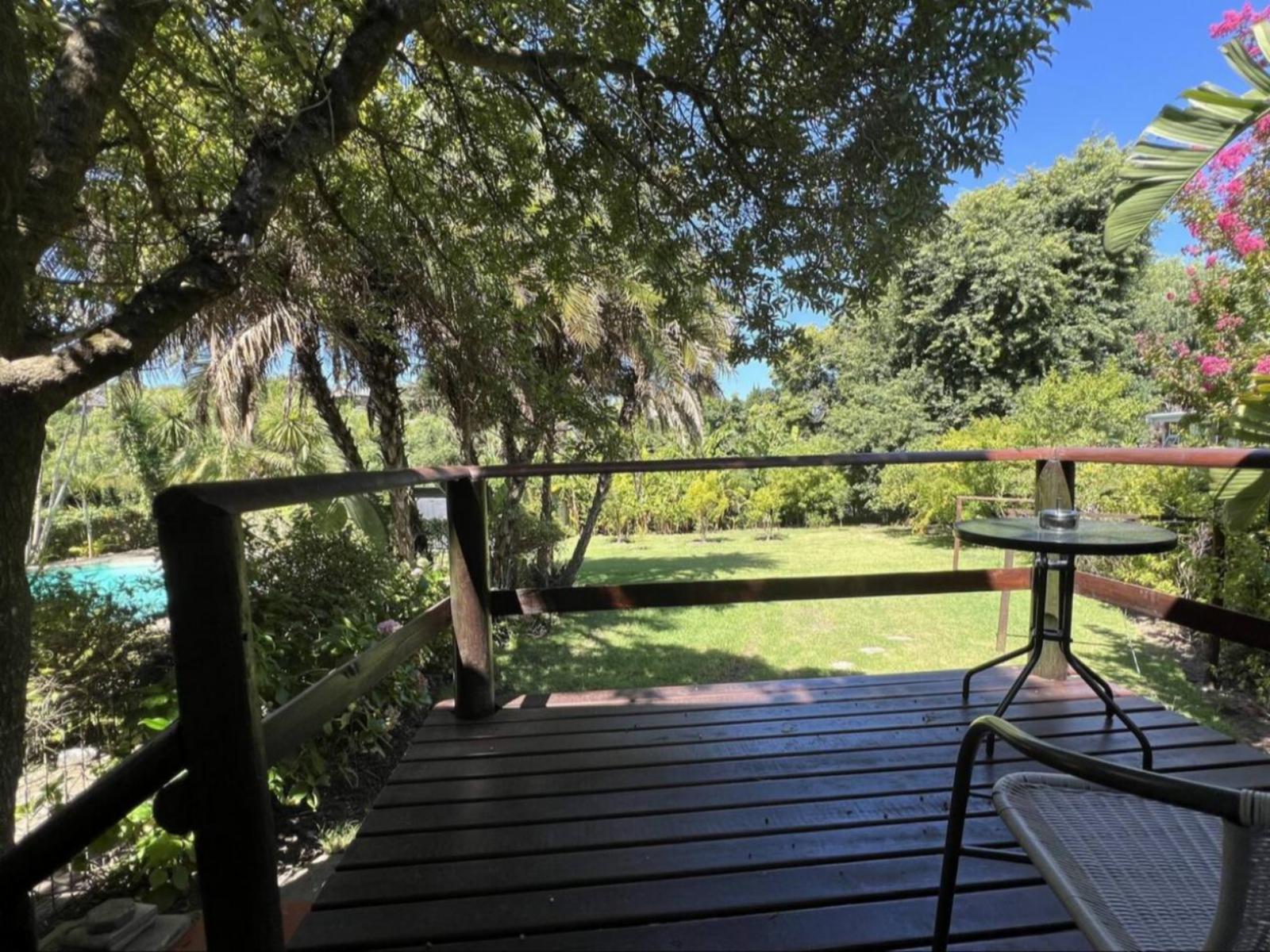 Room 1 — View (from property/room)