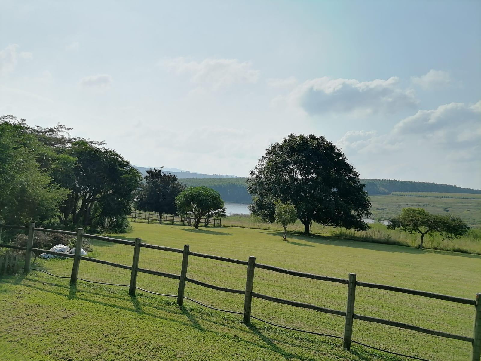 Natural landscape