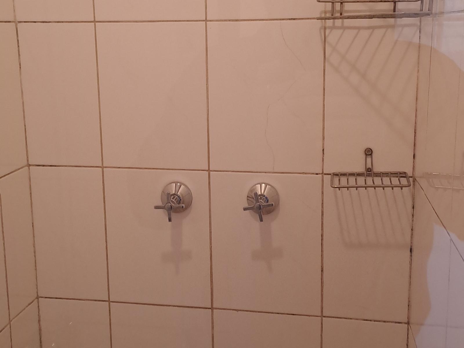 Room 1 — Shower