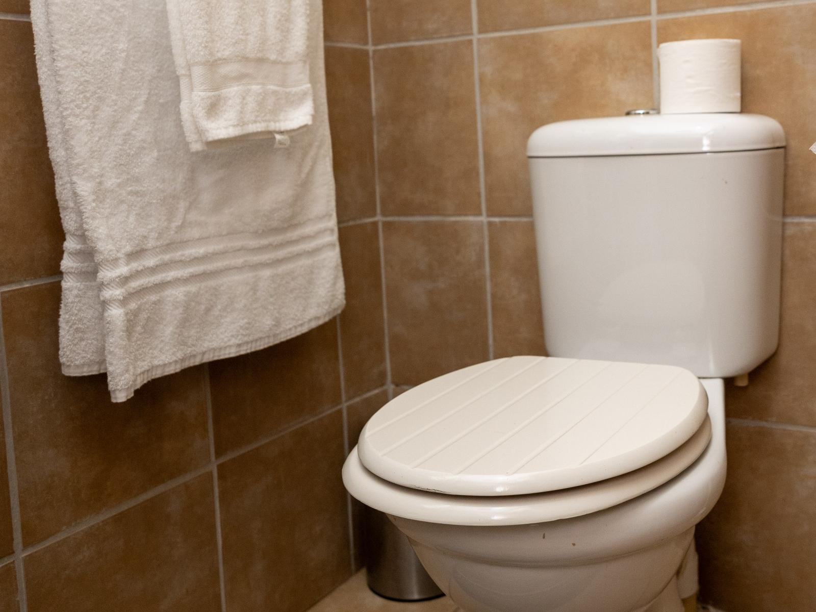 Room 1 — Toilet
