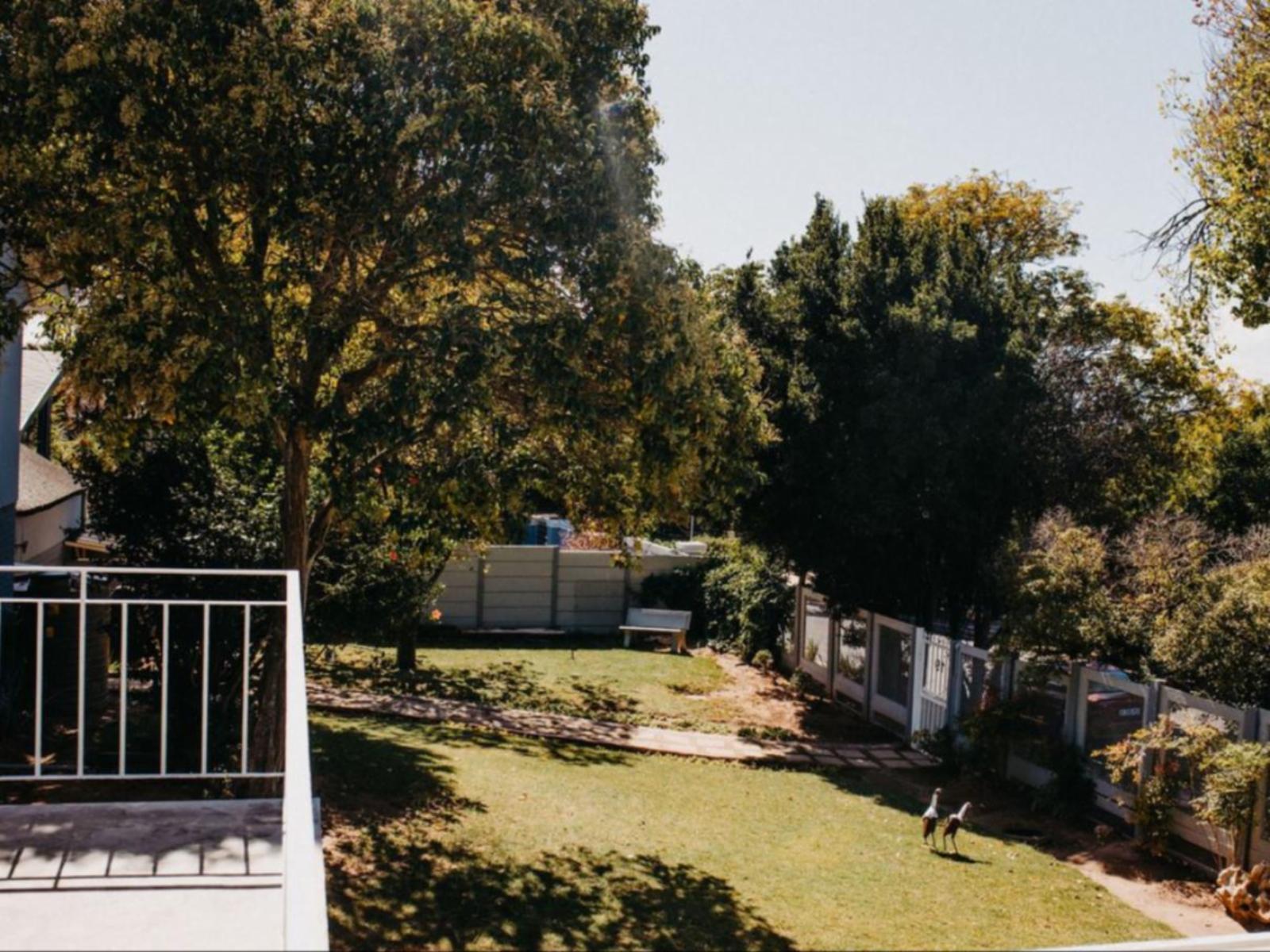 Garden view