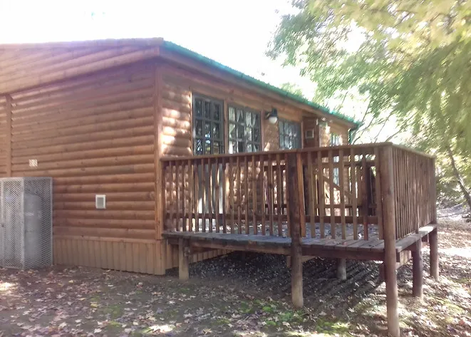 Wooden cabin with porch surrounded by trees and fallen leaves