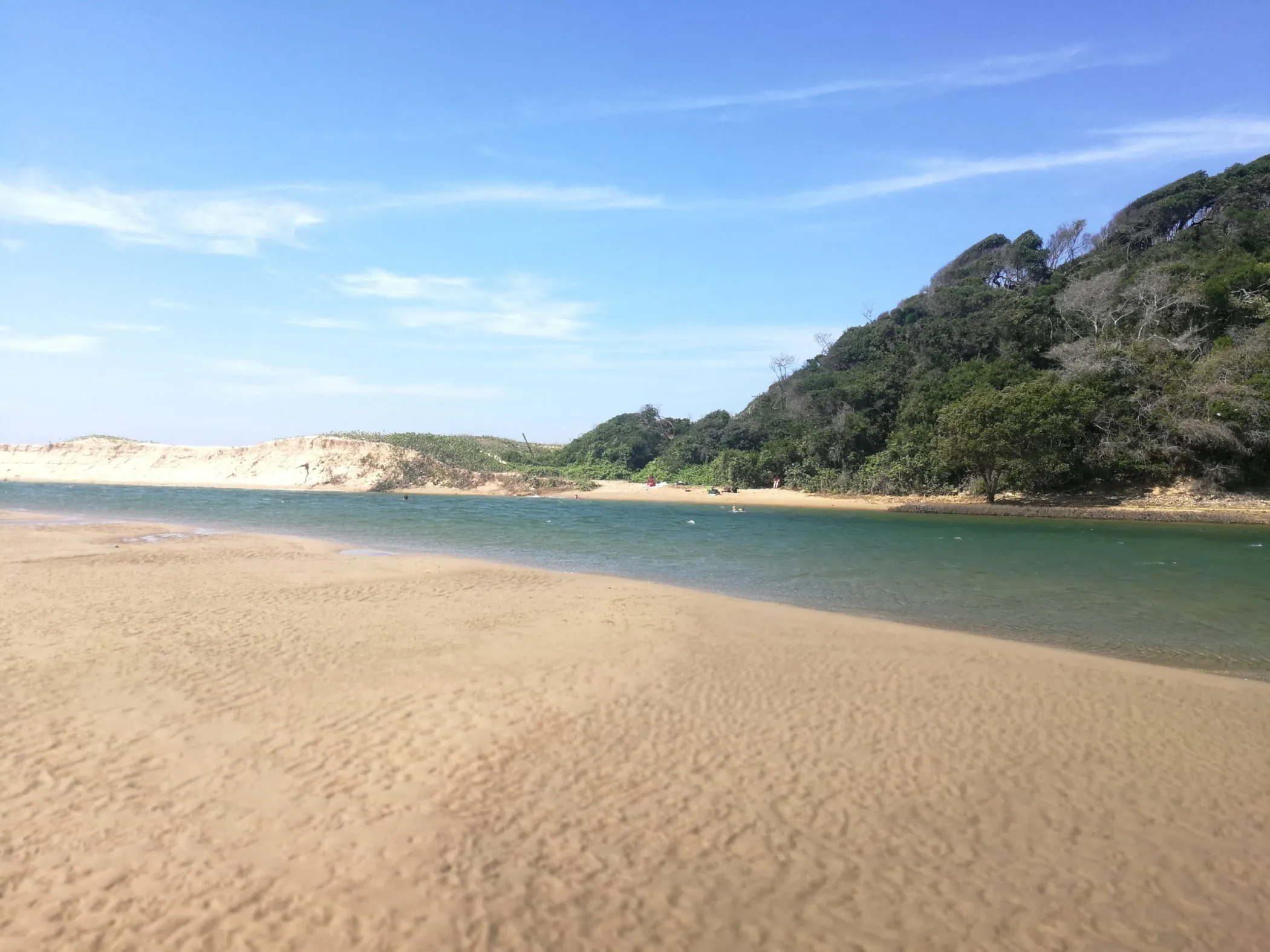 Sandy beach with calm water and green trees under a blue sky