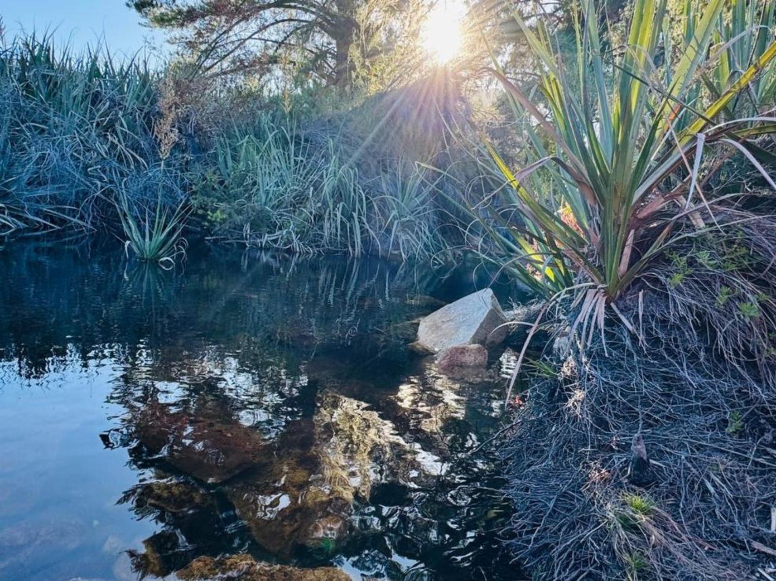 River view