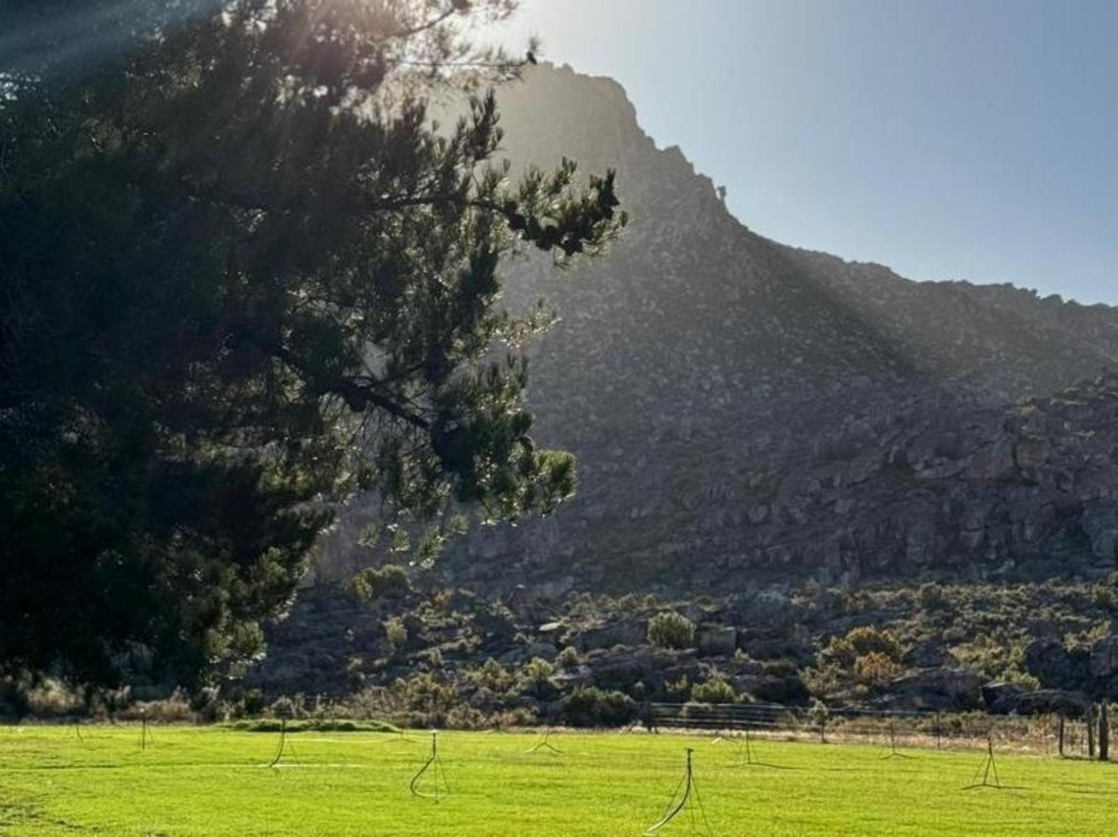 Mountain view