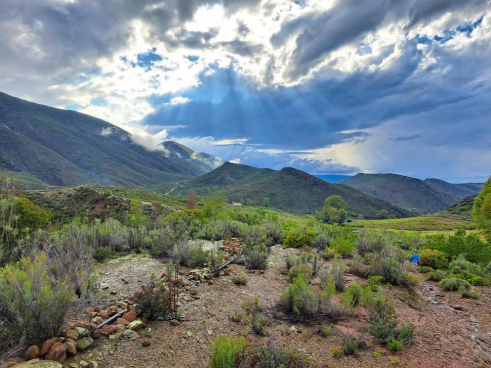 Mountain view