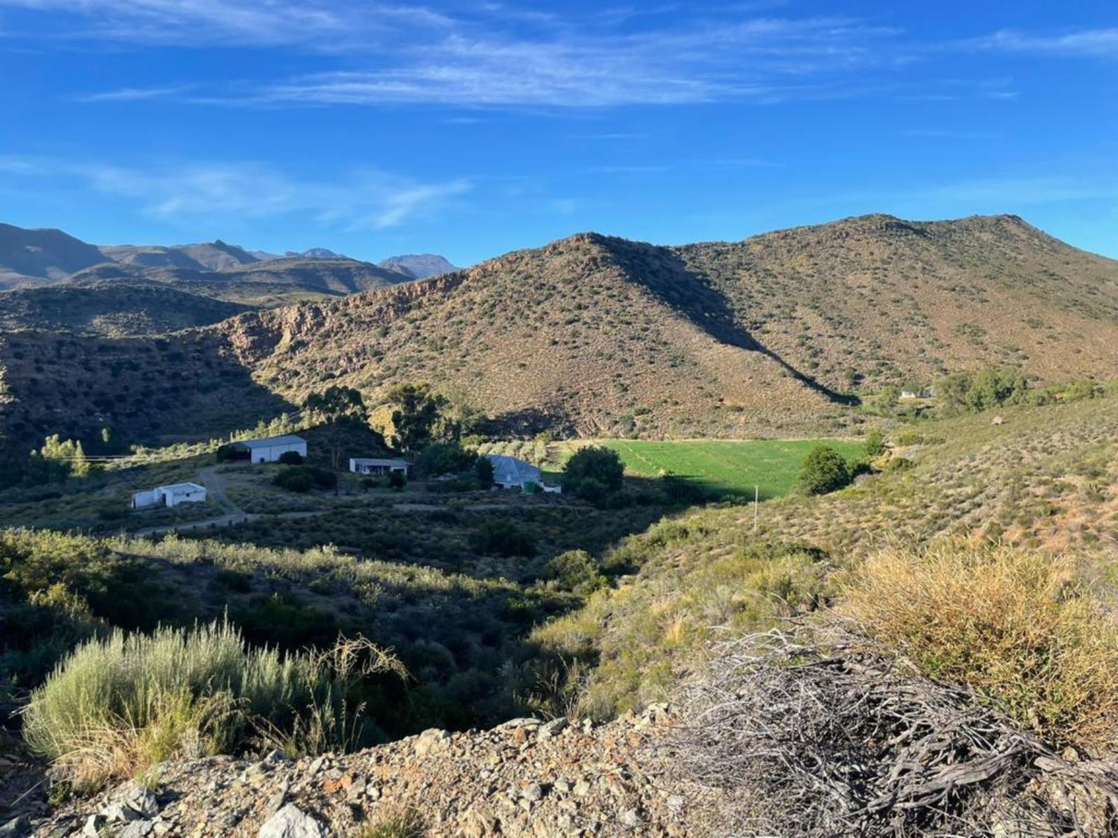 Natural landscape