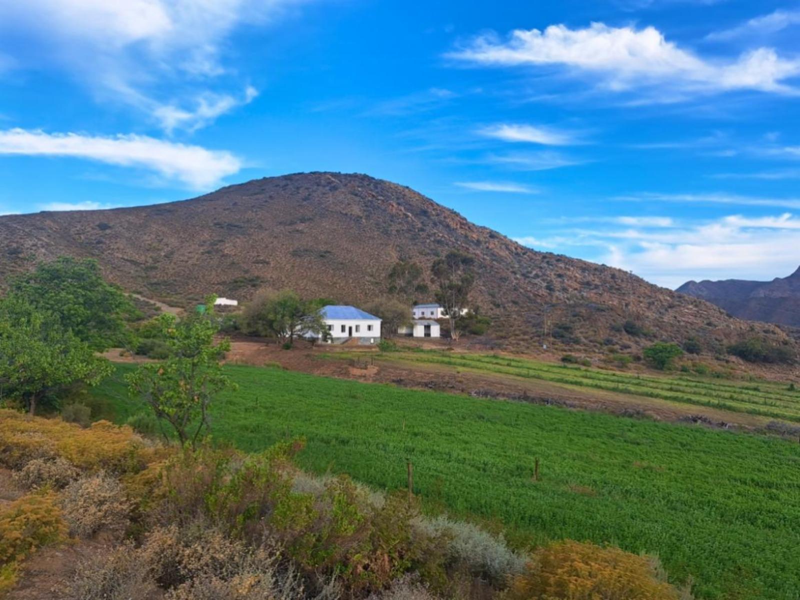 Property / Building