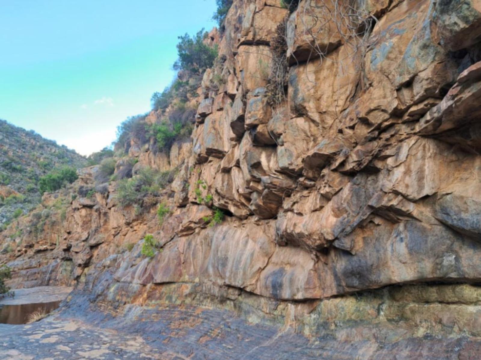Natural landscape