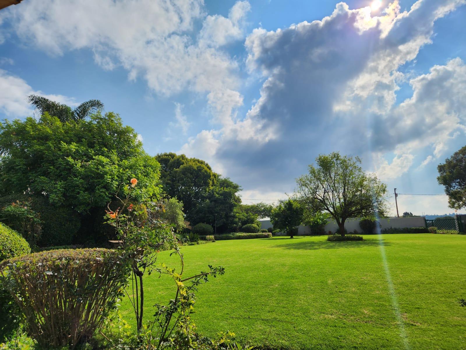 Garden