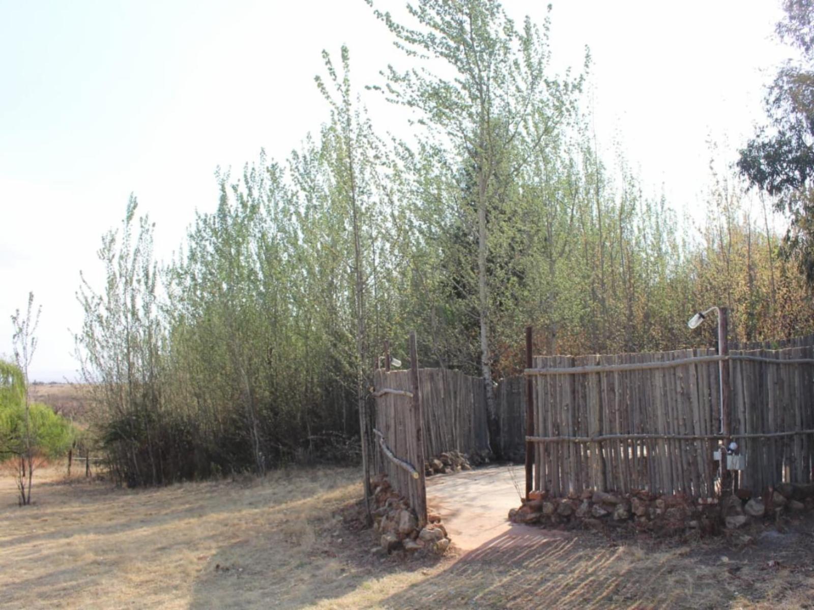 Natural landscape