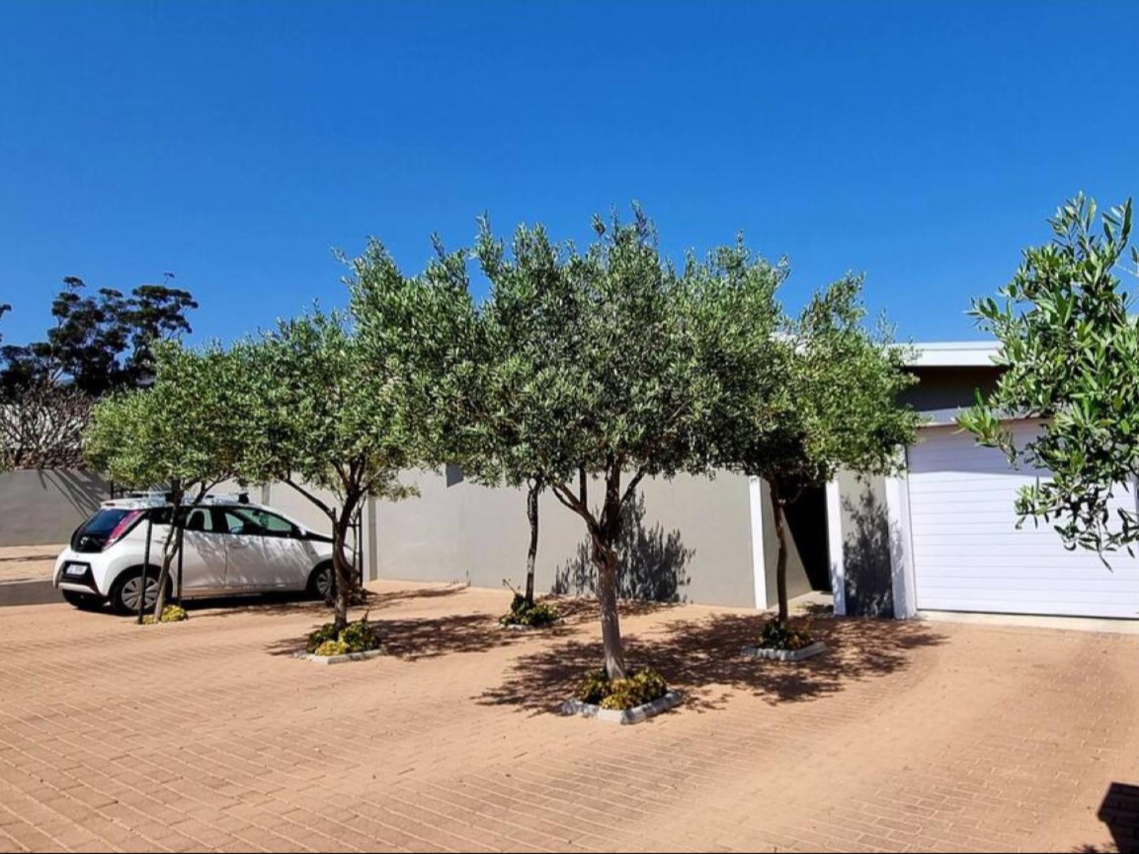 Property / Building
