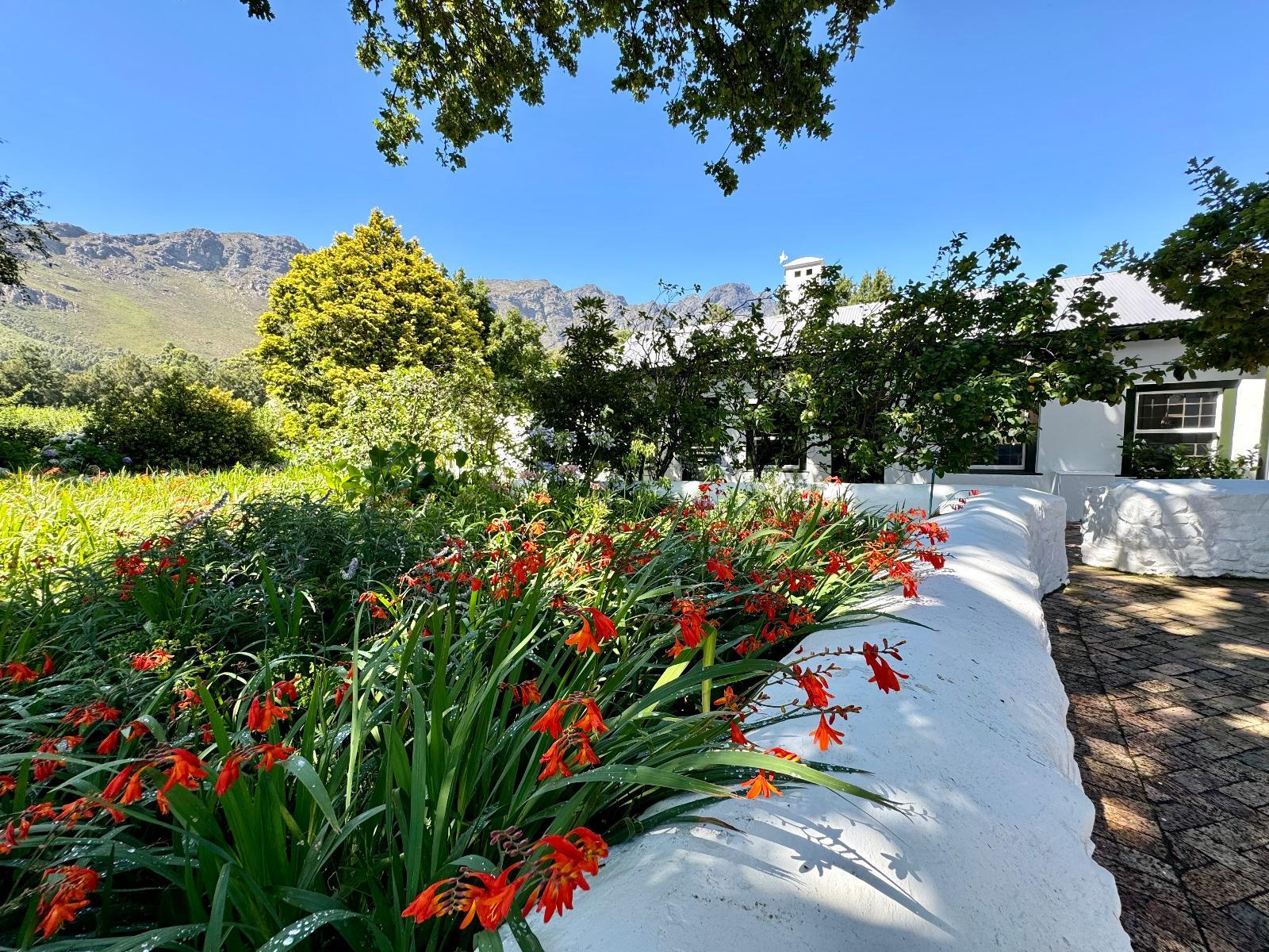 Garden view