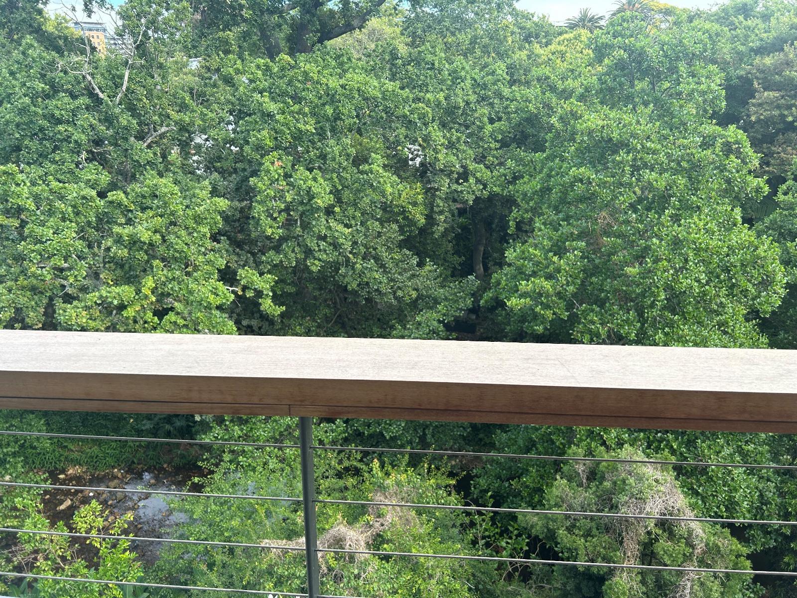 Room 1 — View (from property/room)