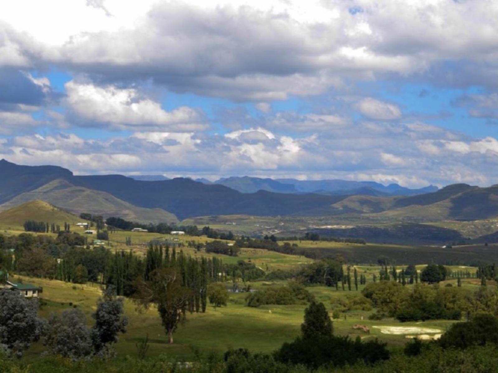 Natural landscape