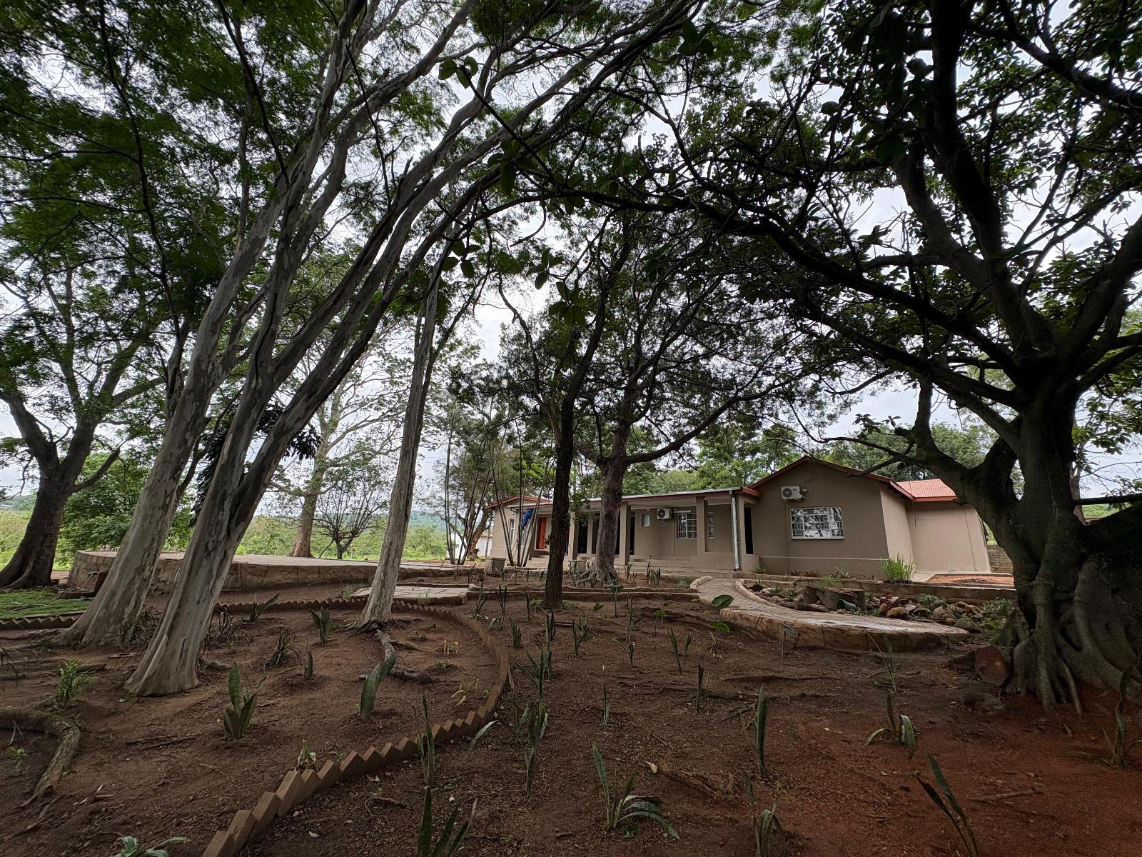 Zabini Lodge and Game Drive