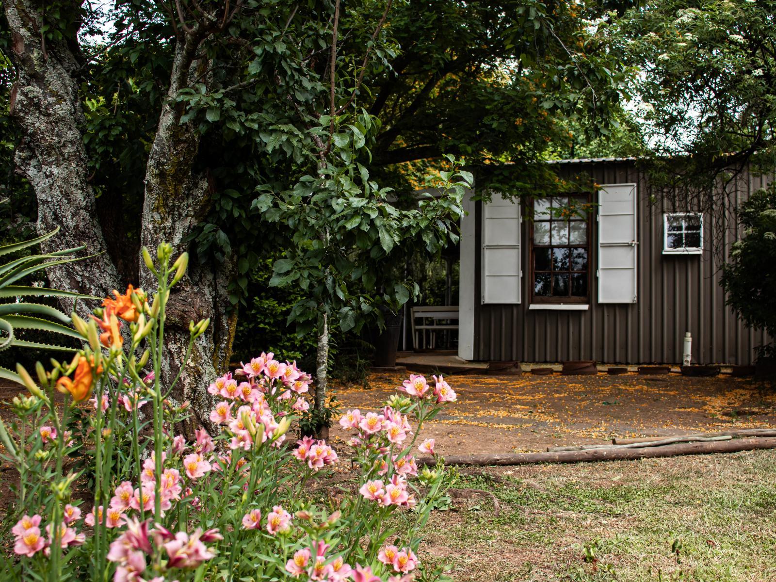 Property / Building