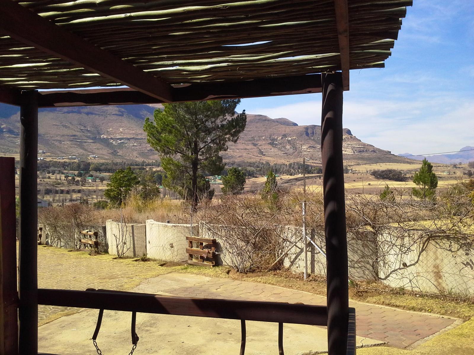 Room 1 — View (from property/room)