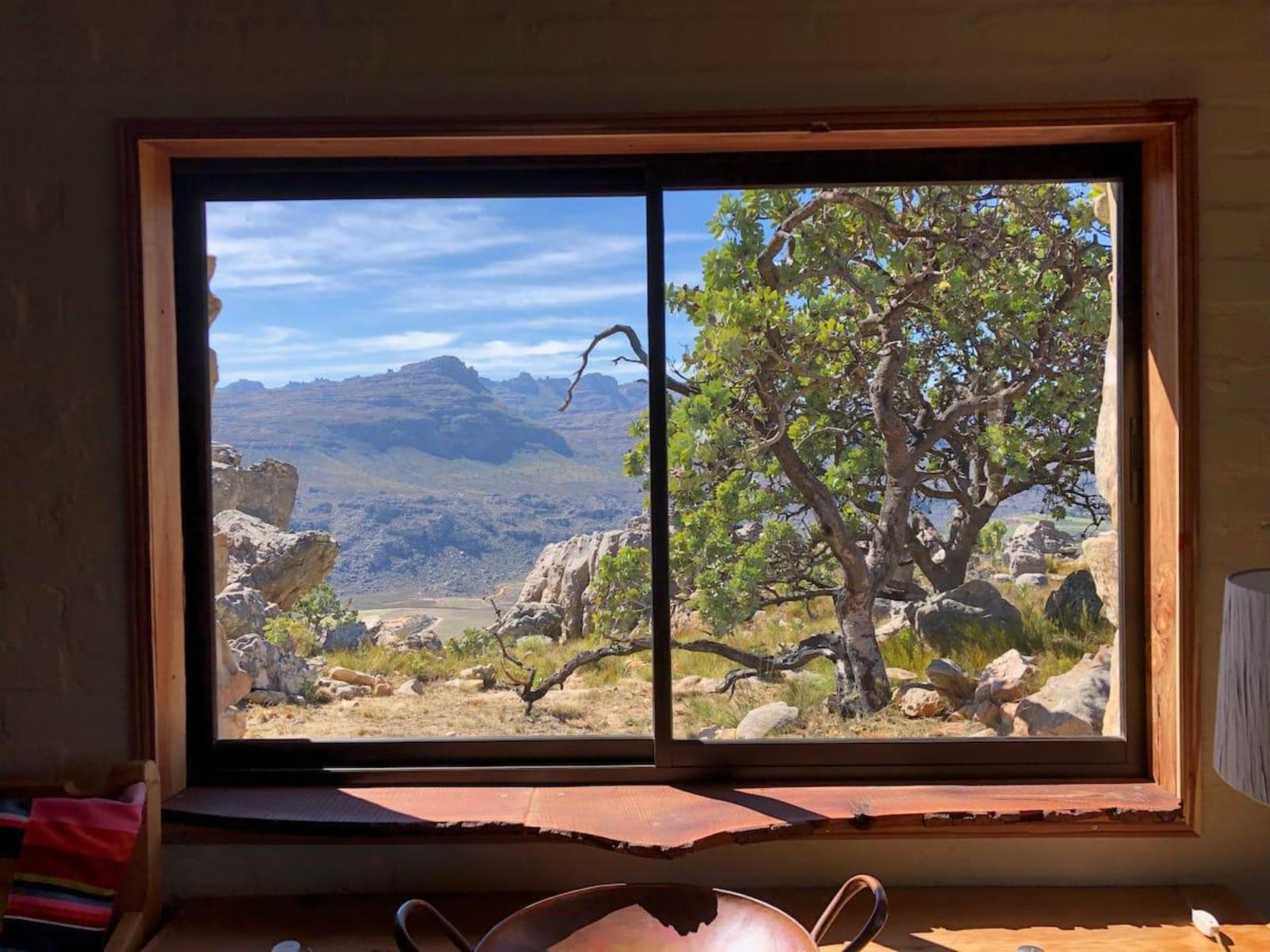 Room 1 — View (from property/room)