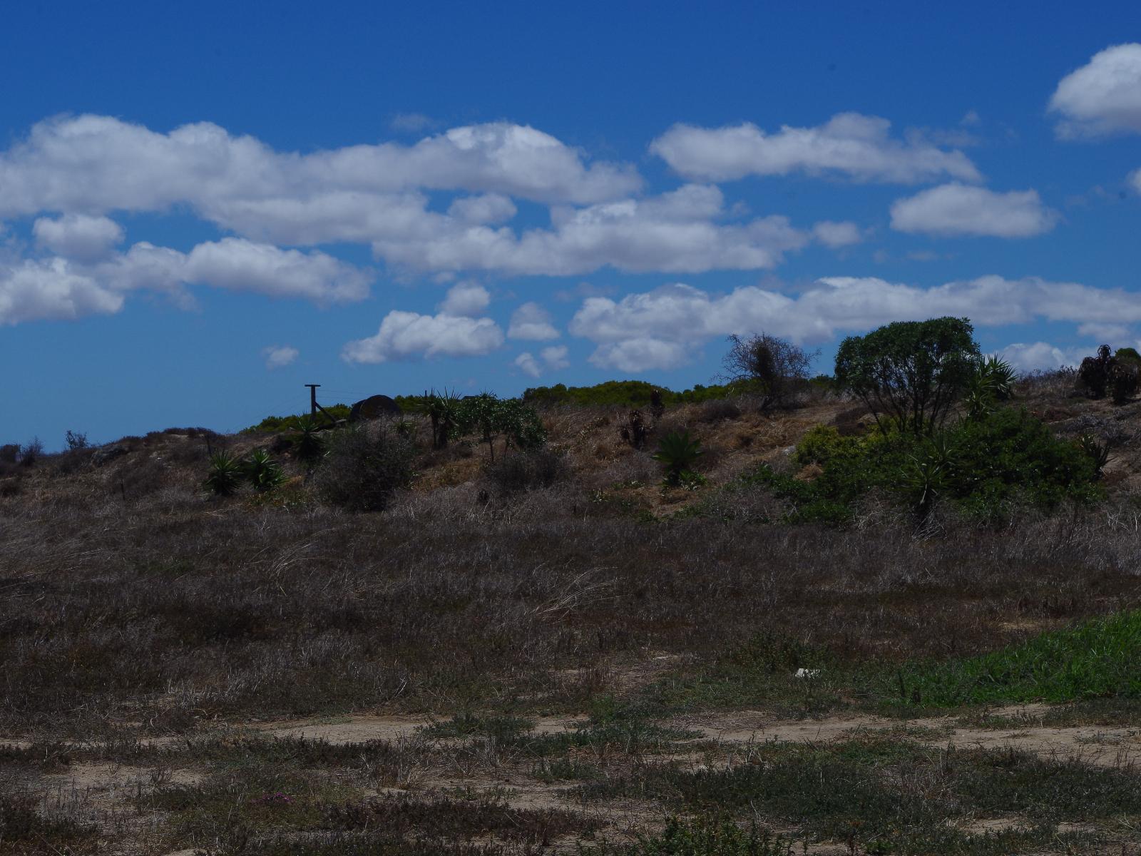 Natural landscape