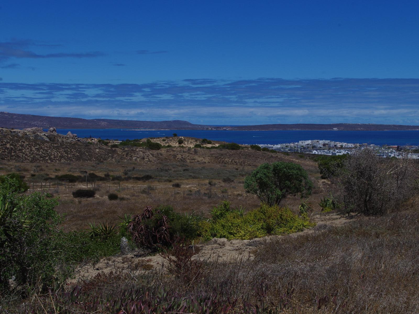Natural landscape