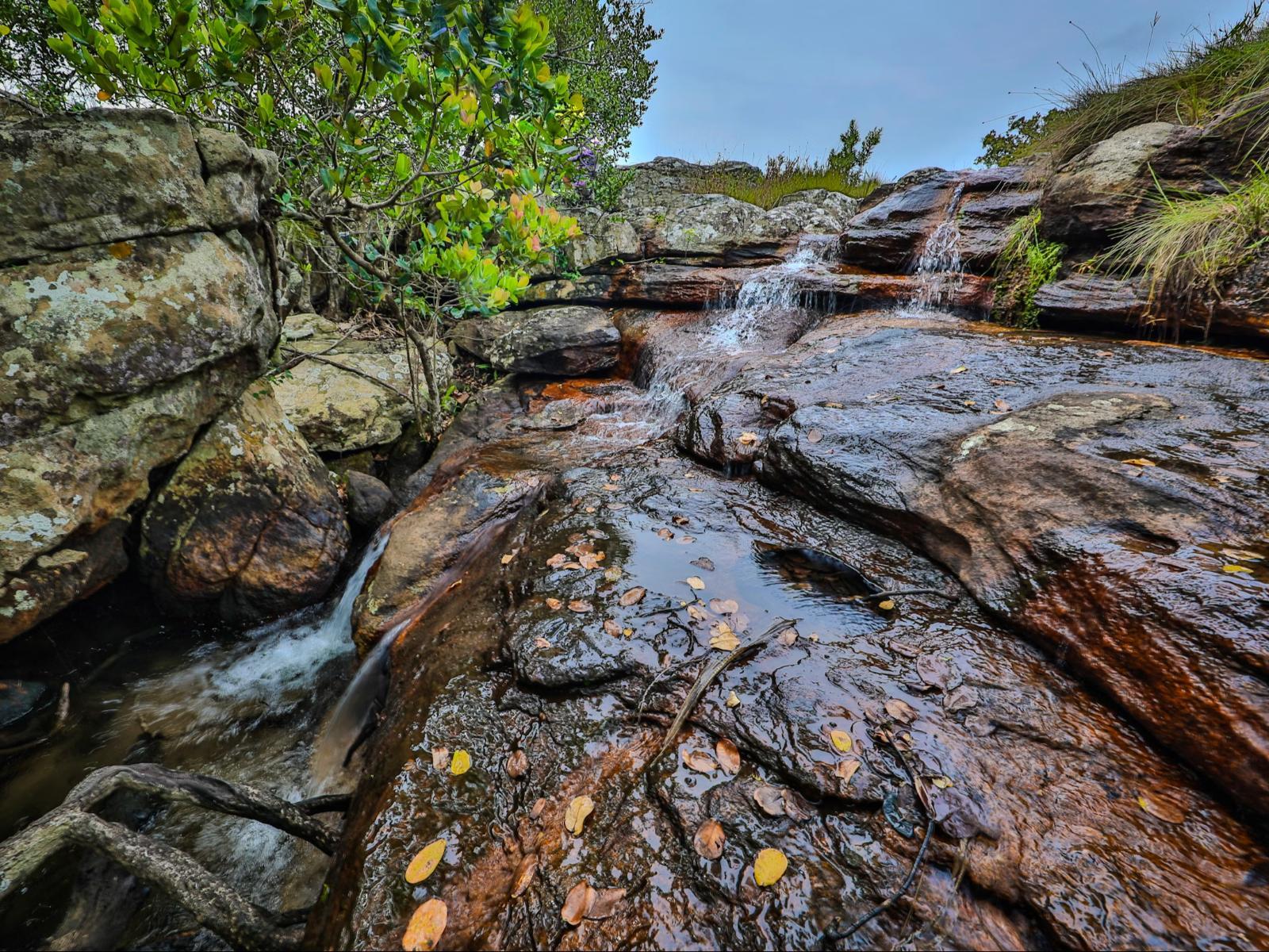 Natural landscape