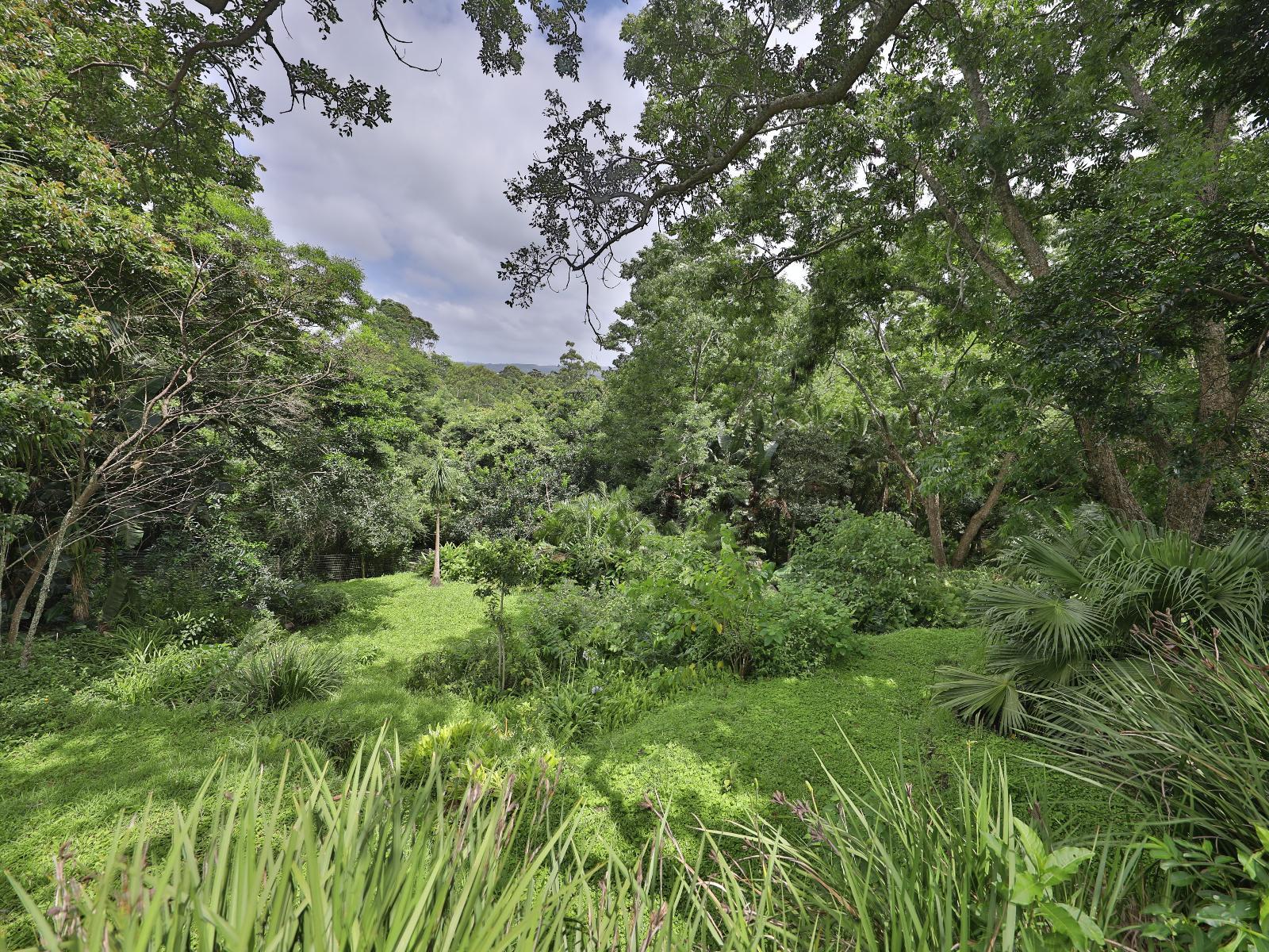 Natural landscape