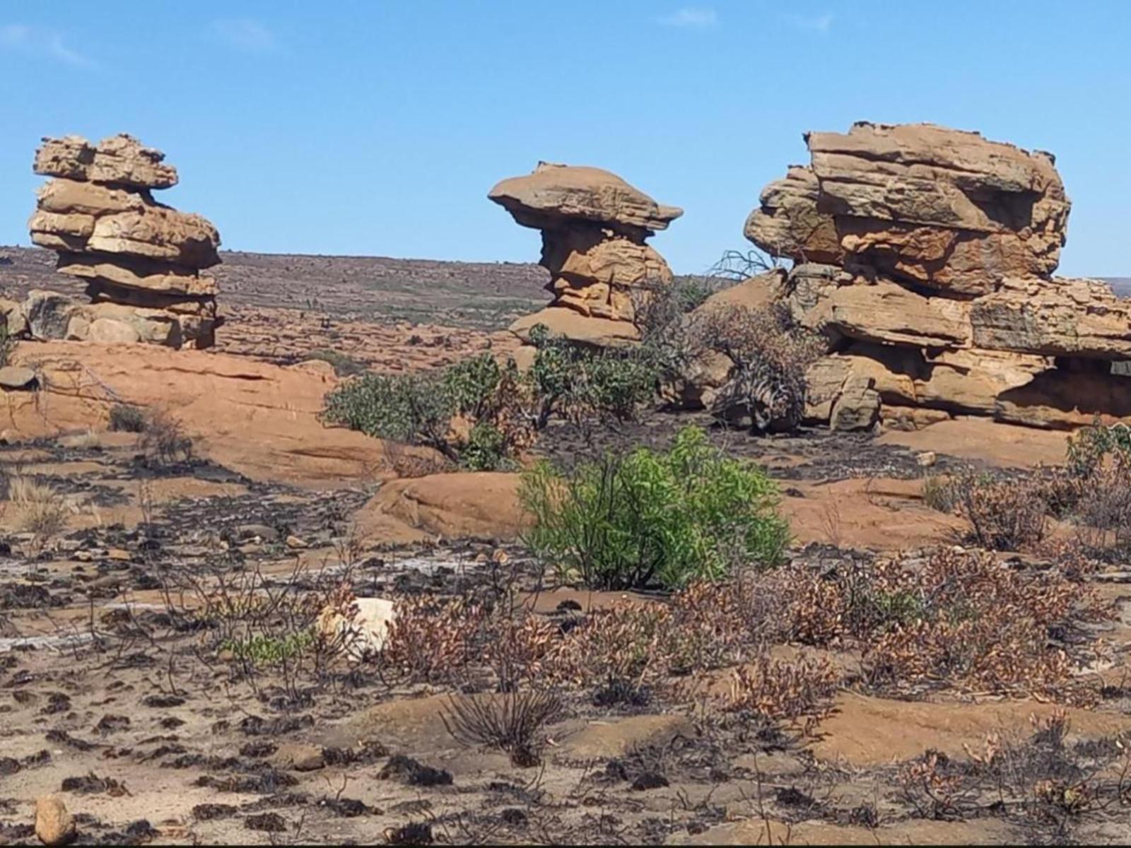 Natural landscape