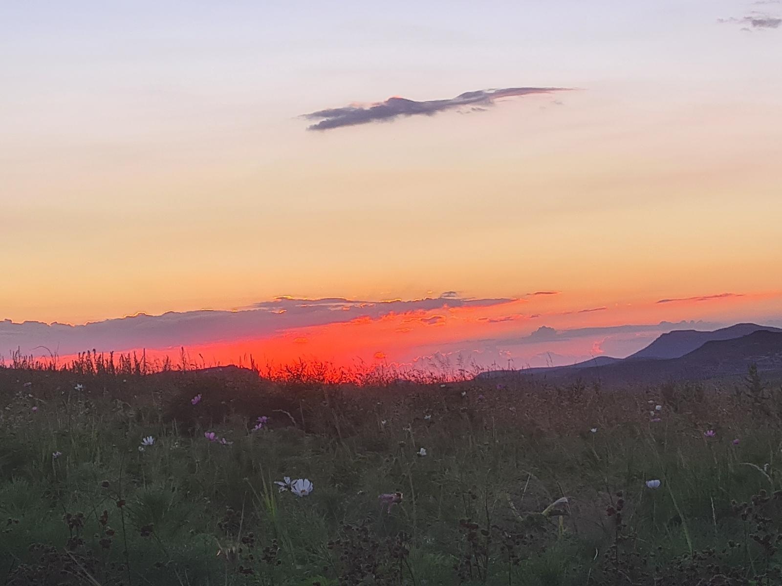 Natural landscape