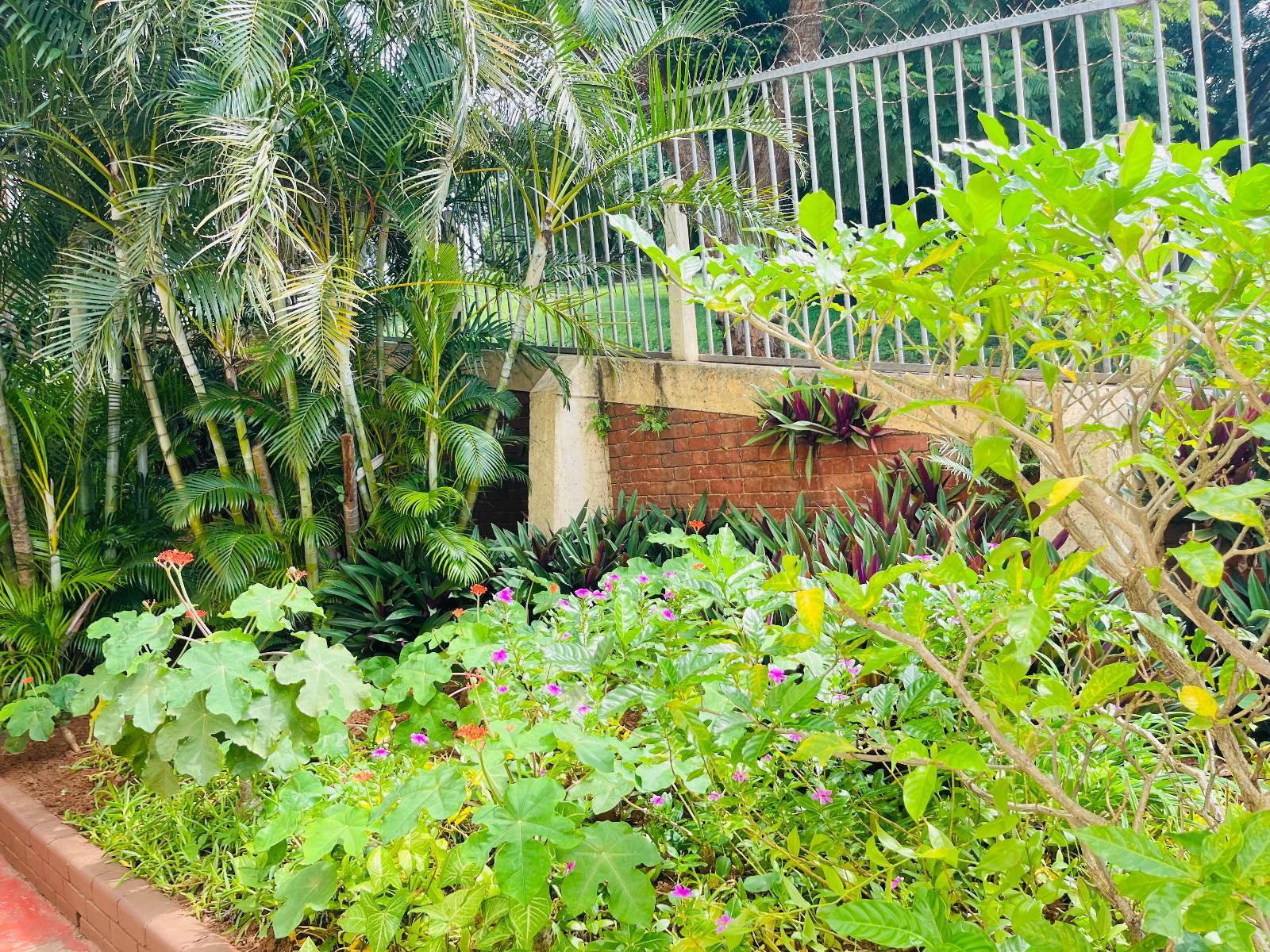 Garden view