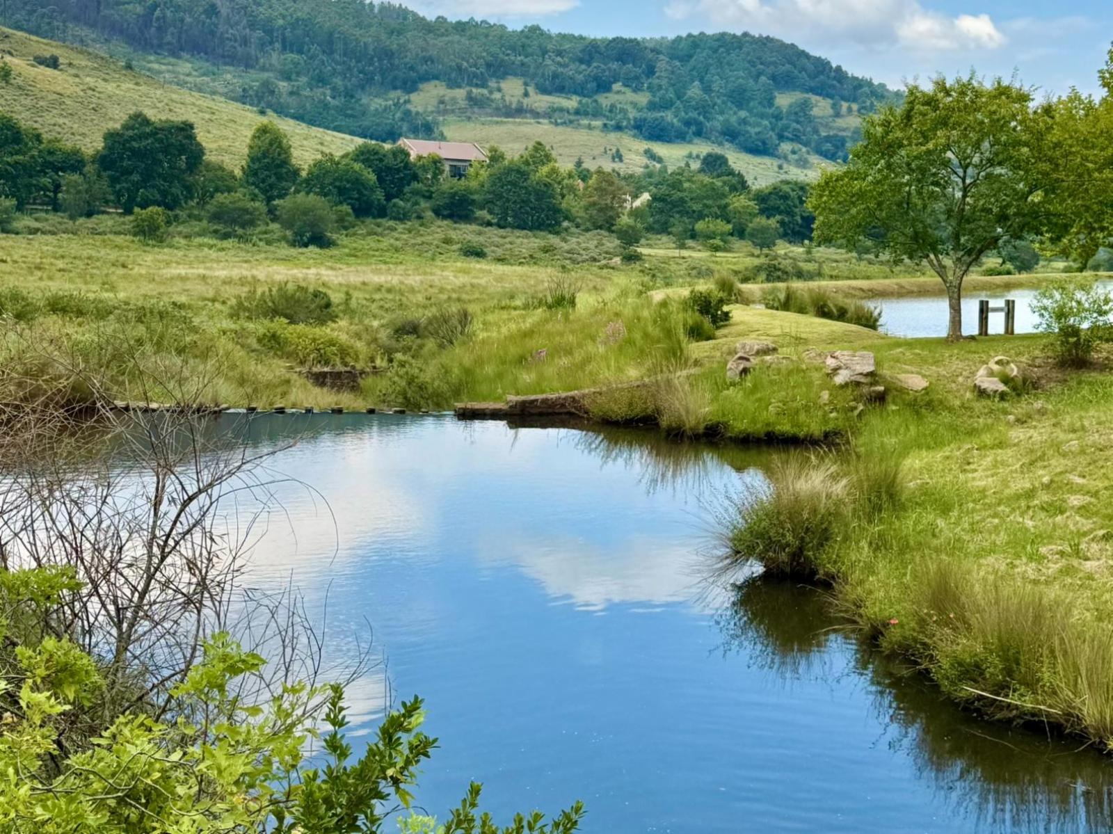 Lake view