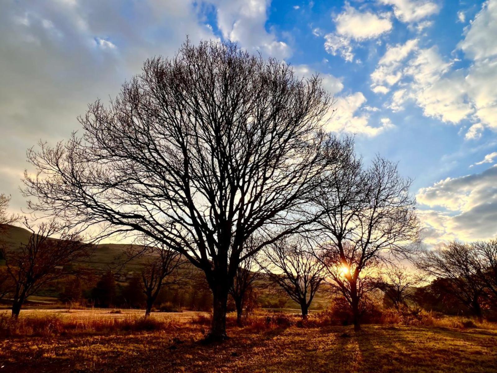 Natural landscape