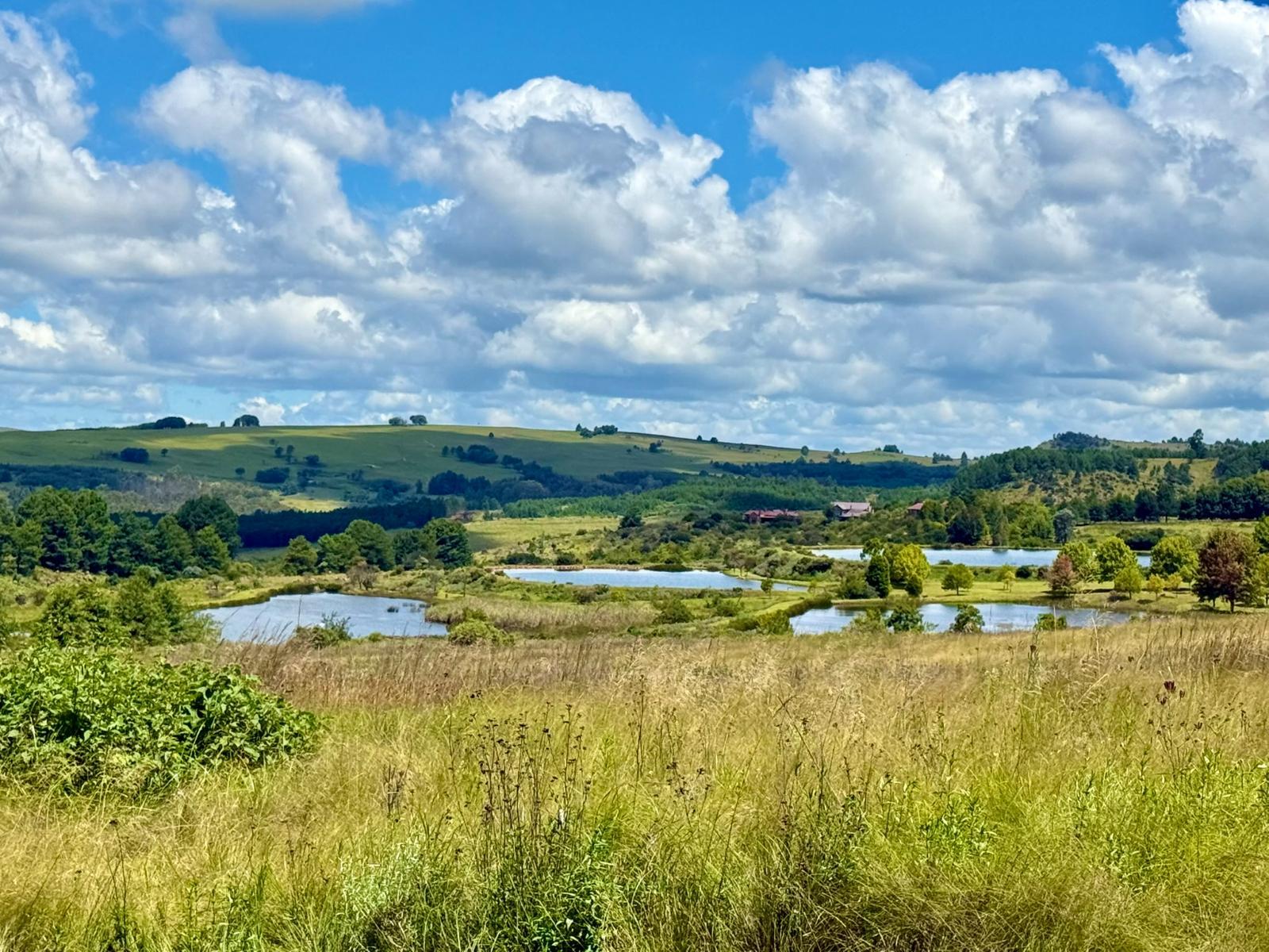 Natural landscape