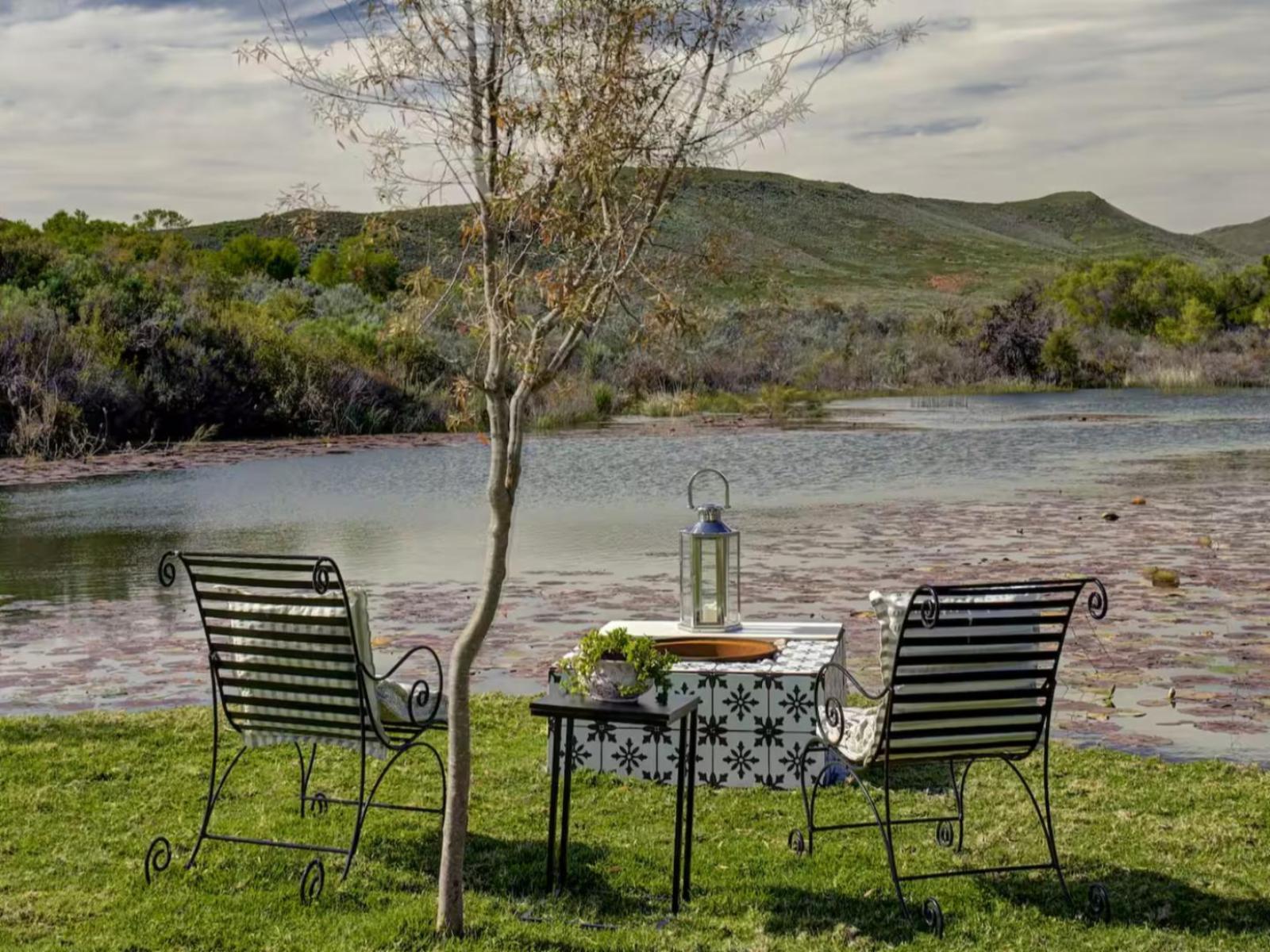 Lake view