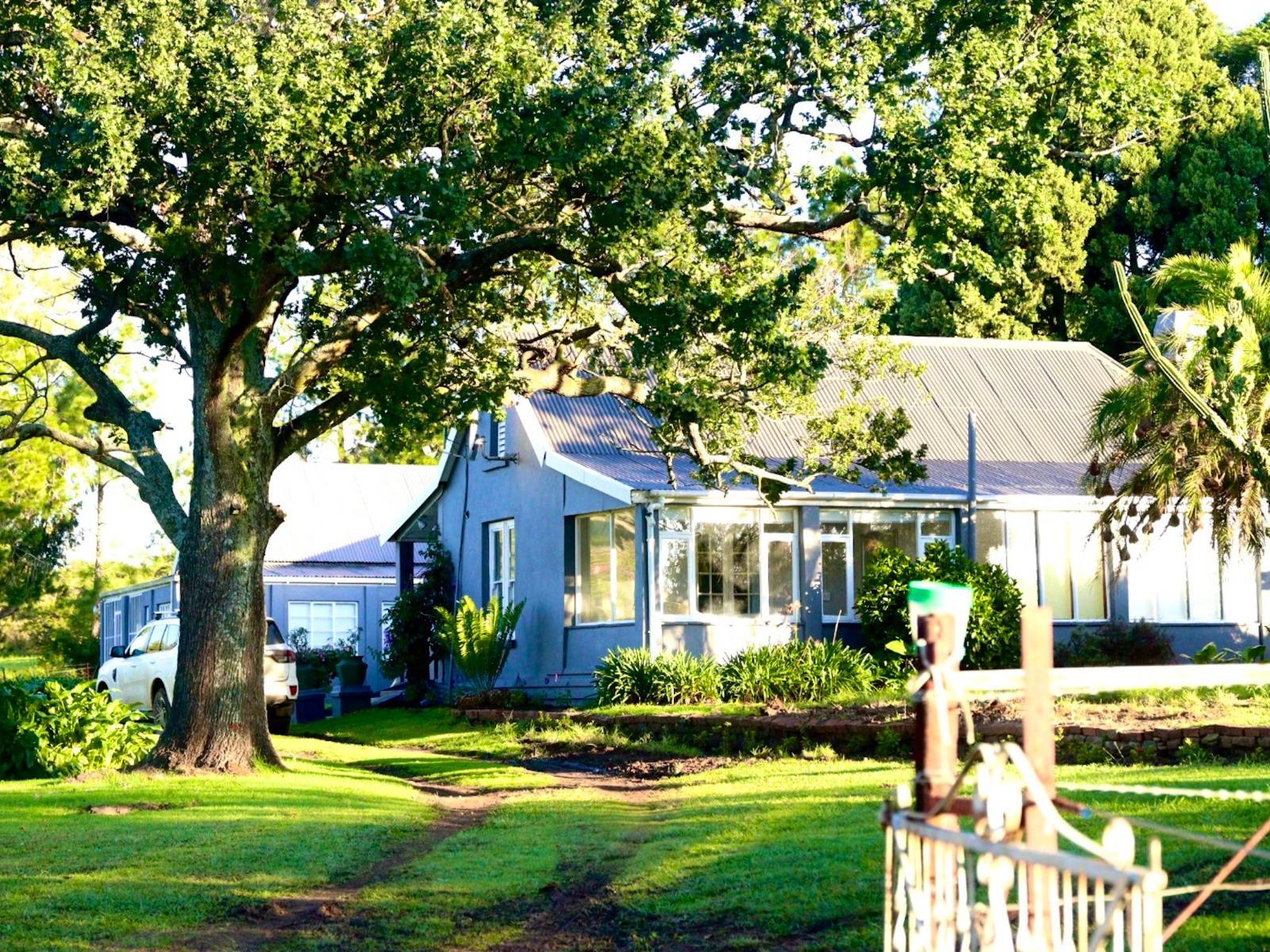 Property / Building