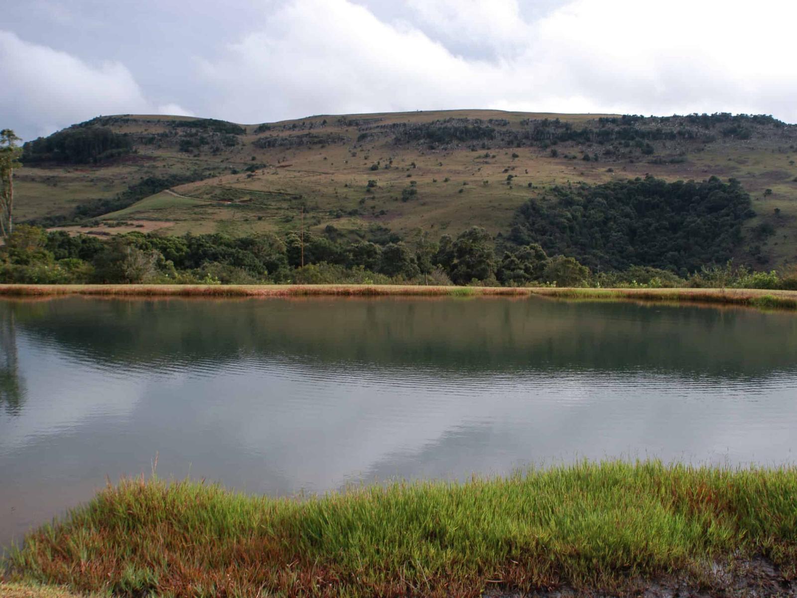 River view