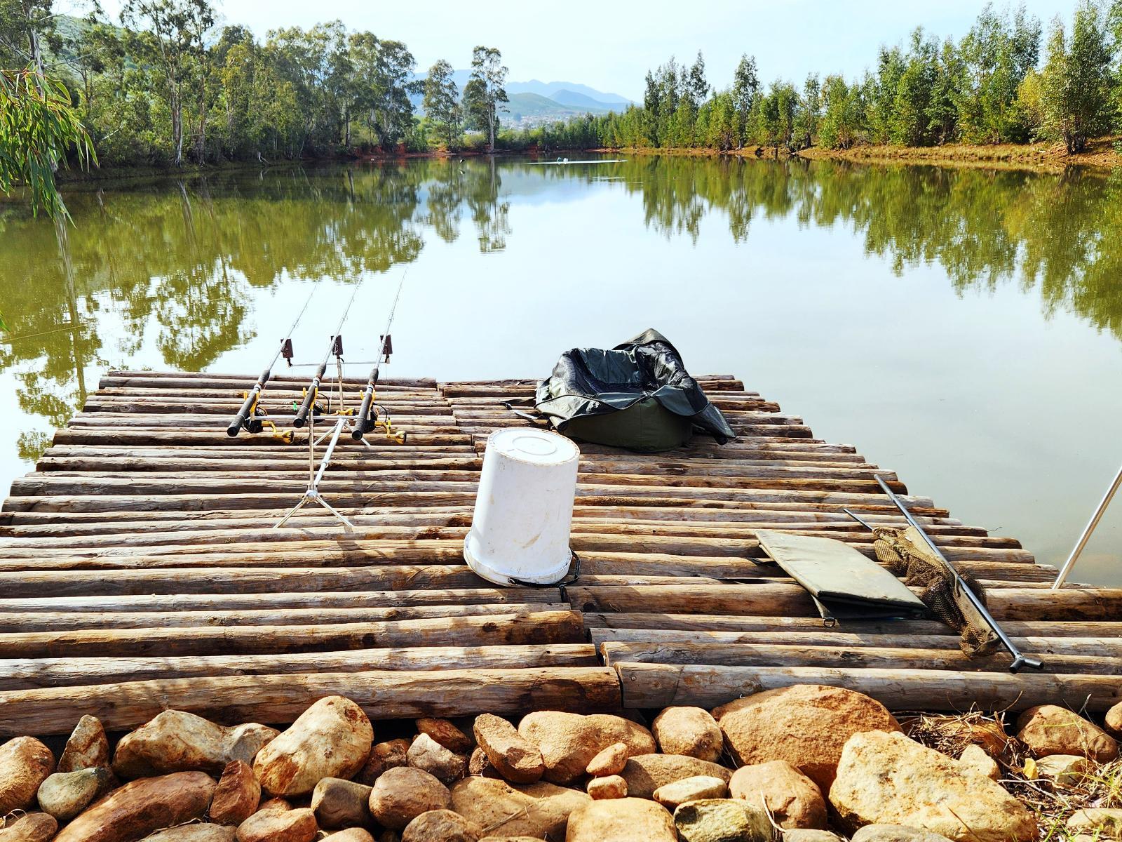 Lake view