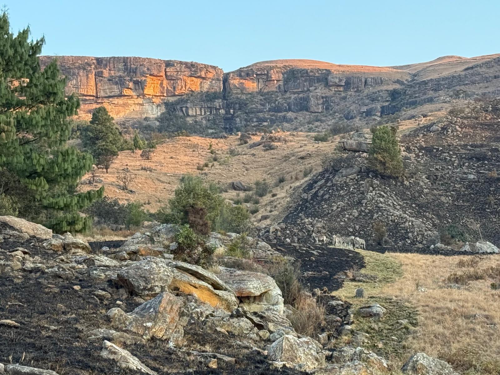 Natural landscape