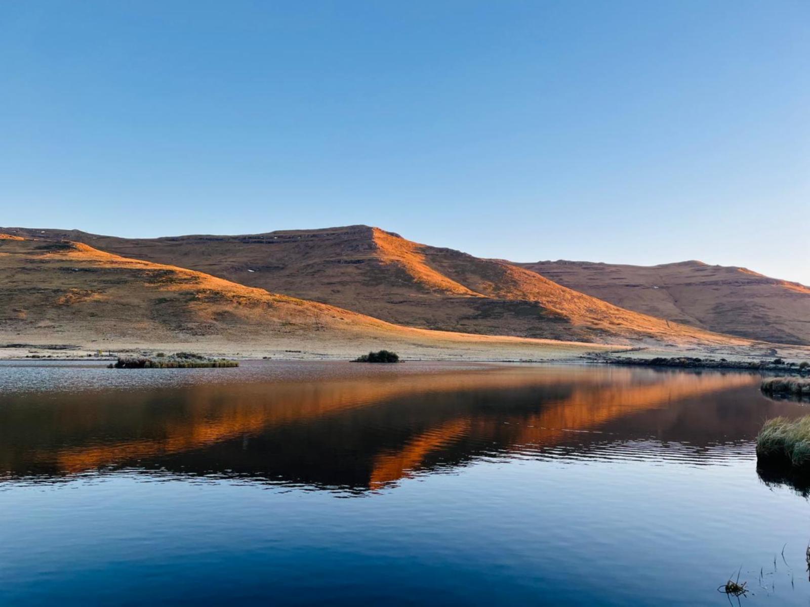 Lake view
