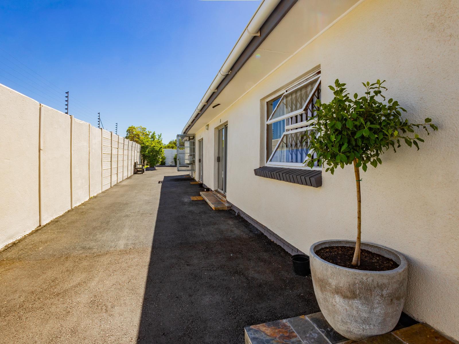 Olive Grove Bed & Breakfast