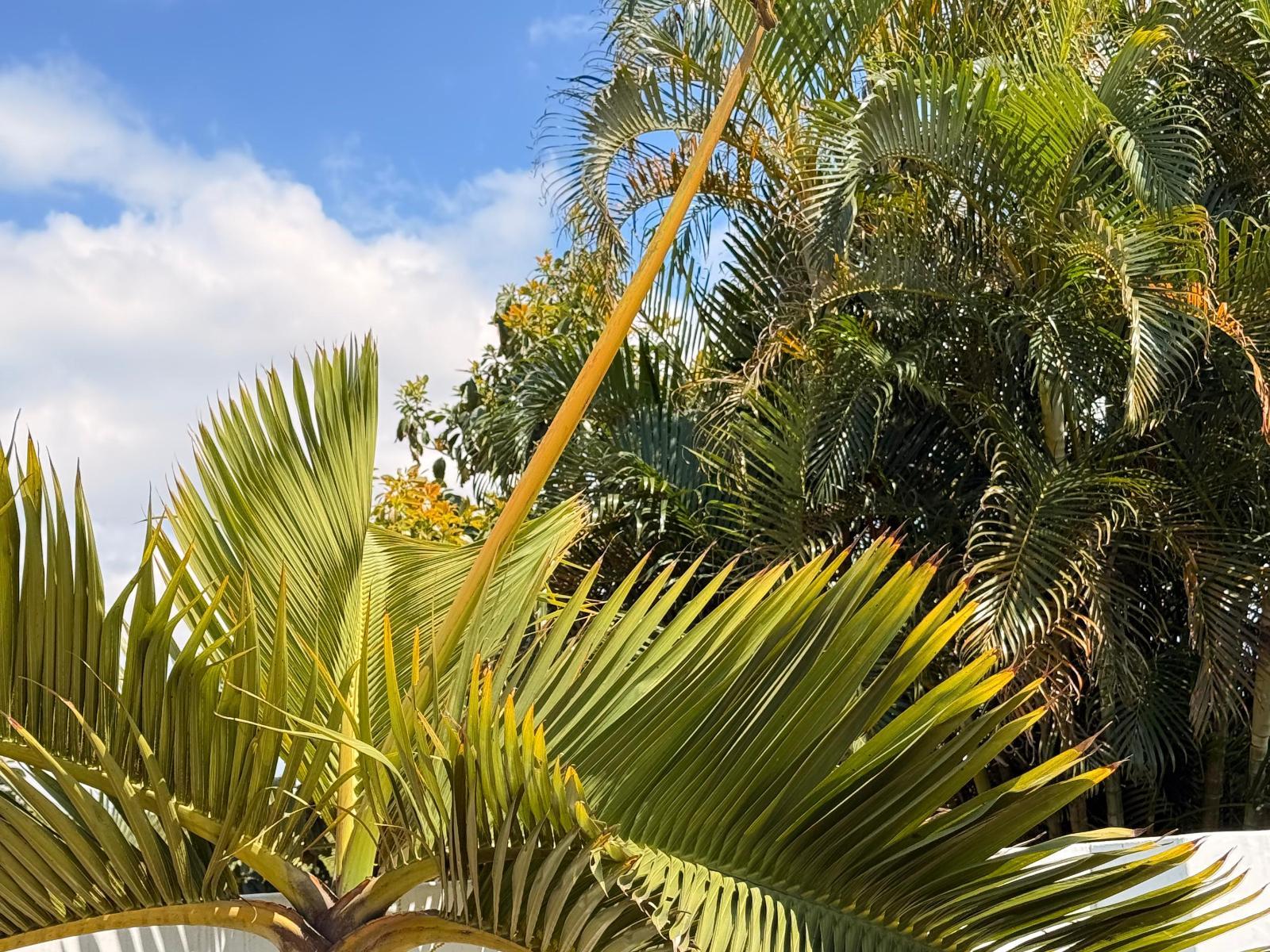 Natural landscape